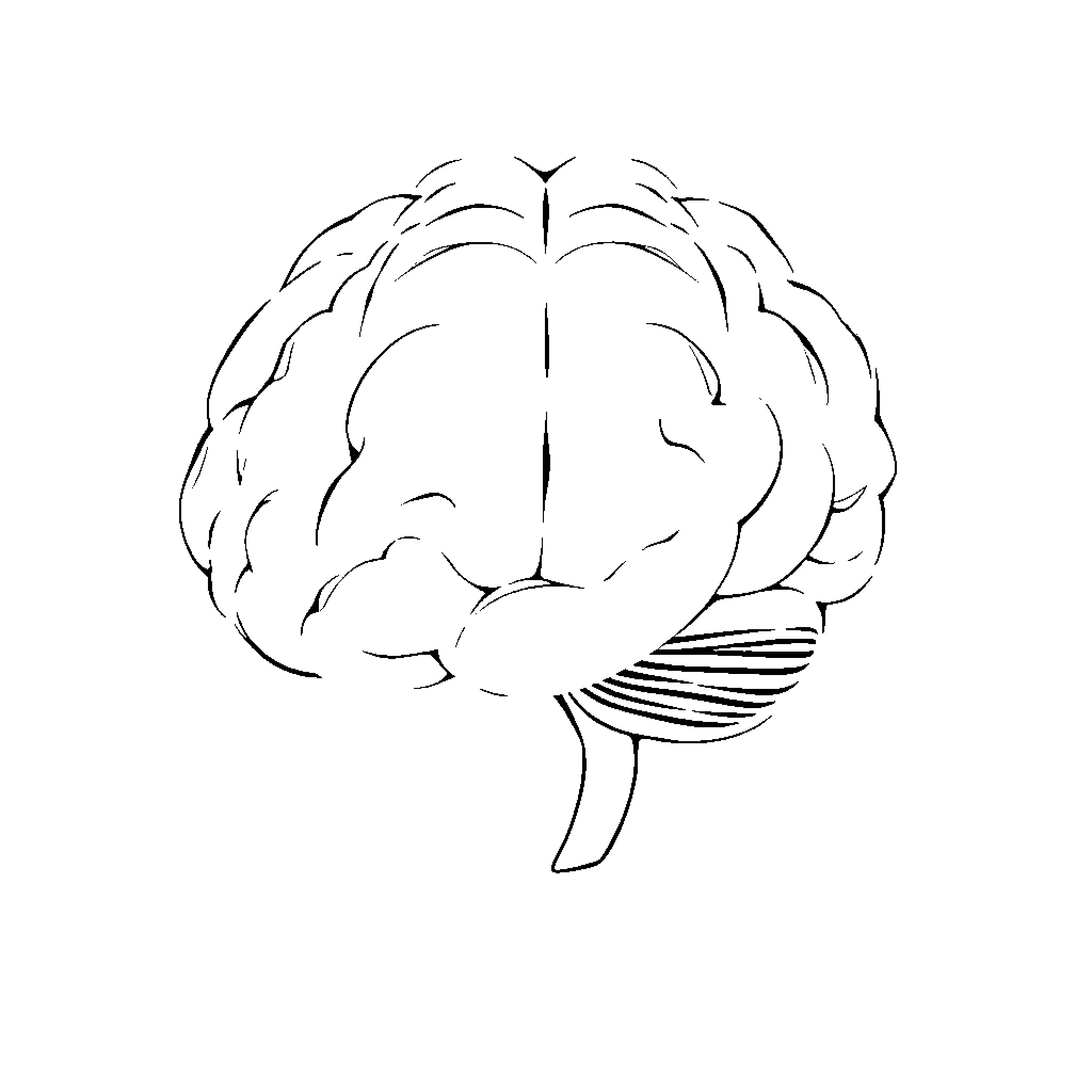 Brain in Abstract Line Art Design Coloring Page (free black-and-white line drawing printable PDF for all, from beginners to advanced learners, including children, teens, adults, and seniors)