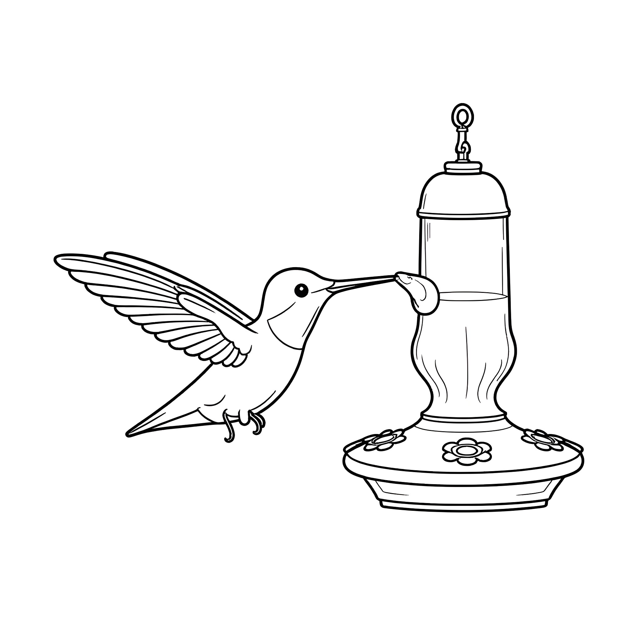 Hummingbird feeding from a flower feeder Coloring Page (free black-and-white line drawing printable PDF for all, from beginners to advanced learners, including children, teens, adults, and seniors)