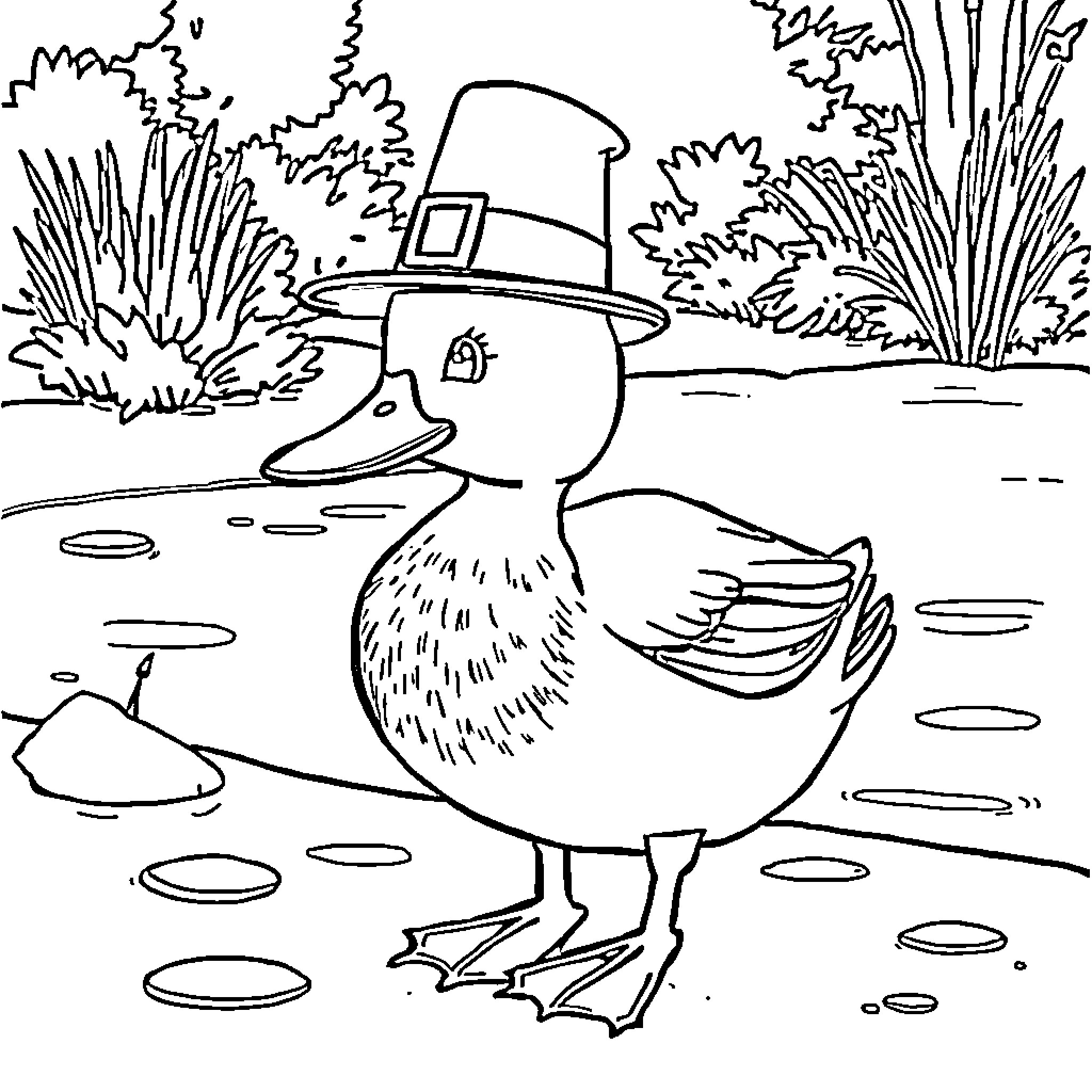 Duck wearing a pilgrim hat near the pond Coloring Page (free black-and-white line drawing printable PDF for all, from beginners to advanced learners, including children, teens, adults, and seniors)