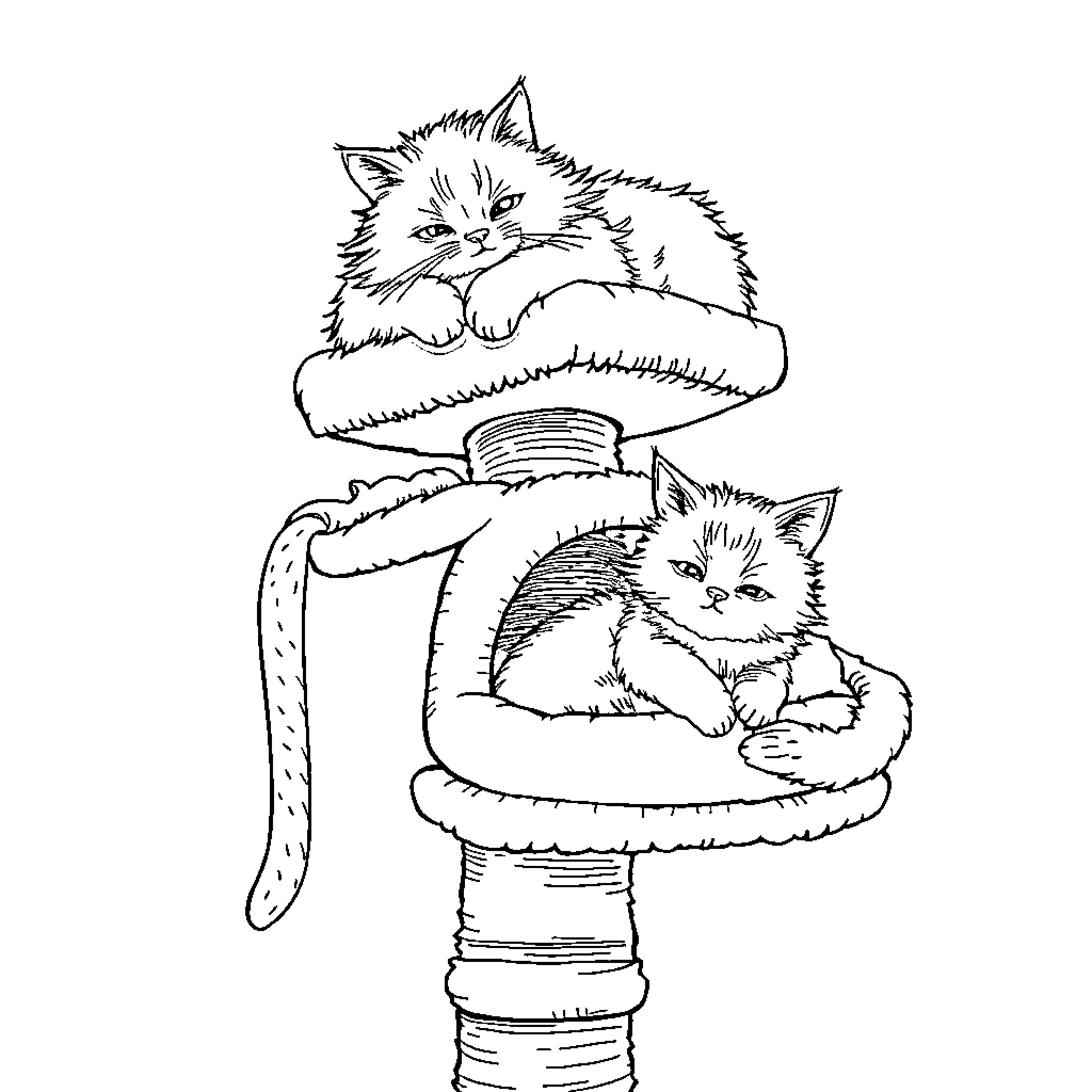 Cat resting comfortably on a cozy perch Coloring Page (free black-and-white line drawing printable PDF for all, from beginners to advanced learners, including children, teens, adults, and seniors)