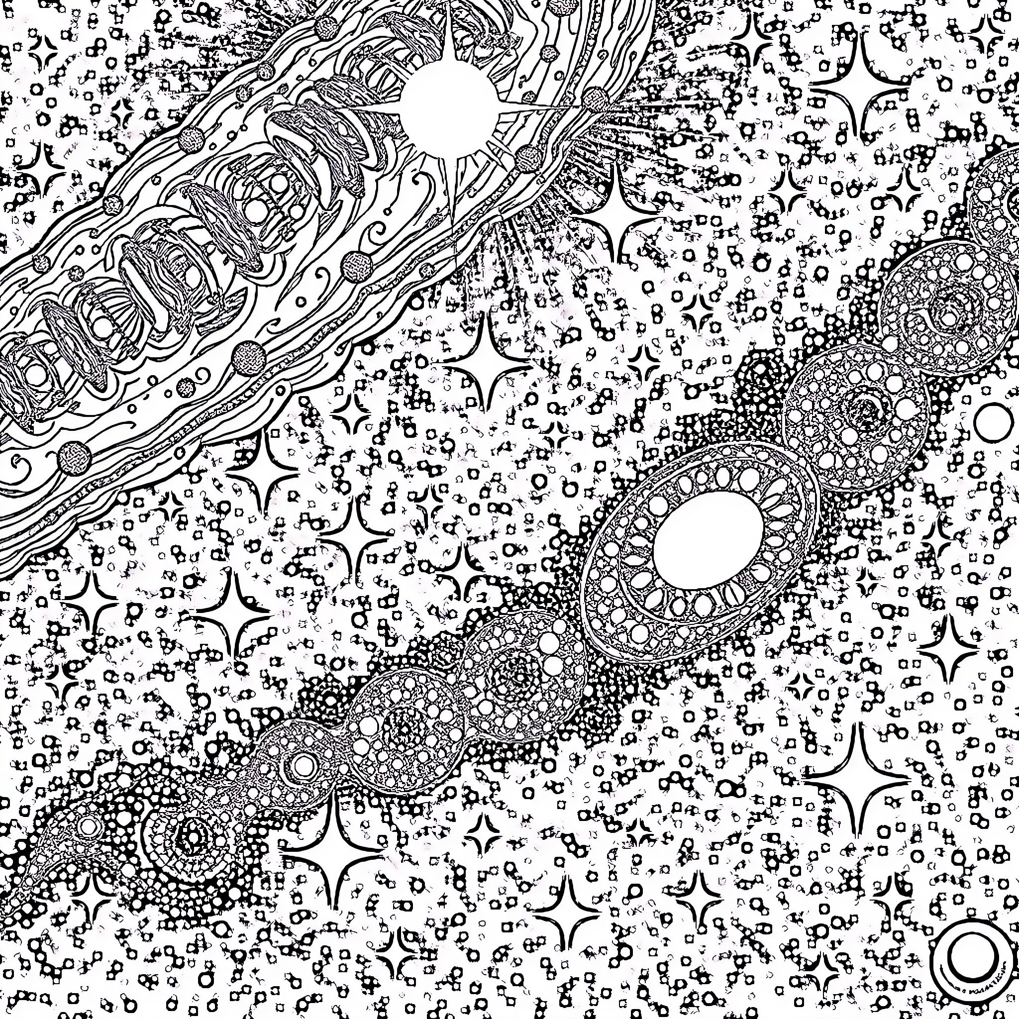 Galaxy of Intricate Cosmic Patterns Coloring Page (free black-and-white line drawing printable PDF for all, from beginners to advanced learners, including children, teens, adults, and seniors)