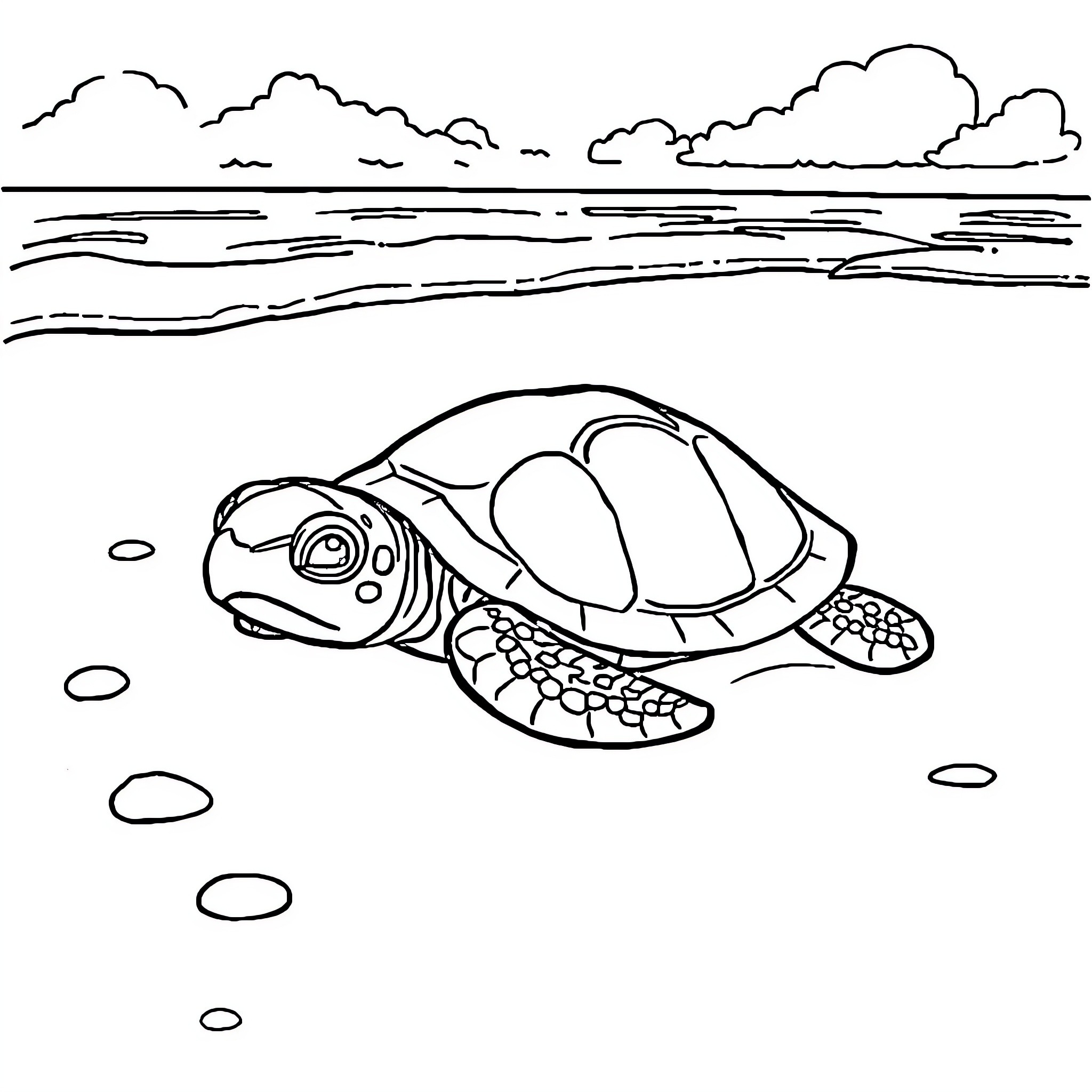 Turtle swimming peacefully in the ocean Coloring Page (free black-and-white line drawing printable PDF for all, from beginners to advanced learners, including children, teens, adults, and seniors)