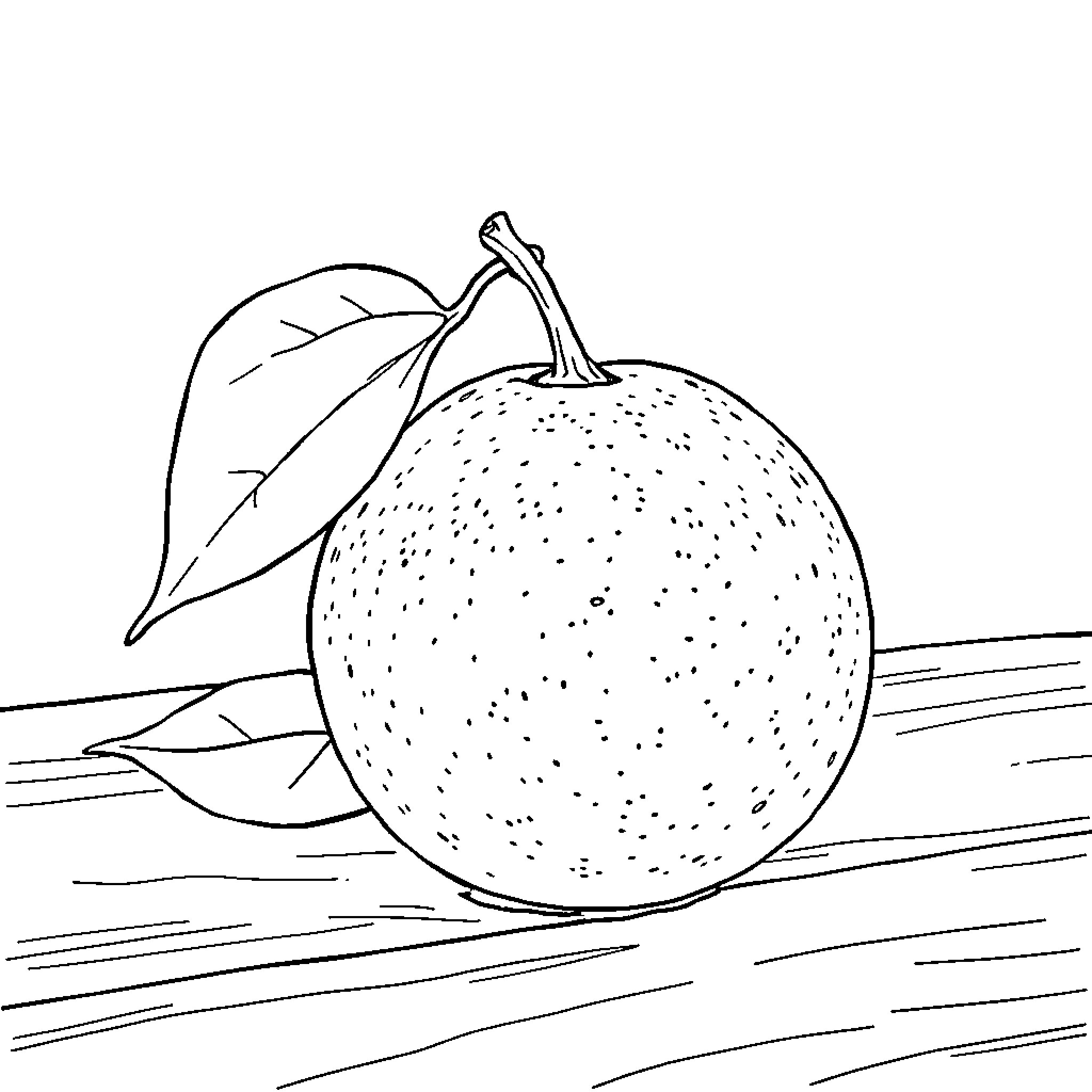 Orange Fruit on Wooden Planks Coloring Page (free black-and-white line drawing printable PDF for all, from beginners to advanced learners, including children, teens, adults, and seniors)
