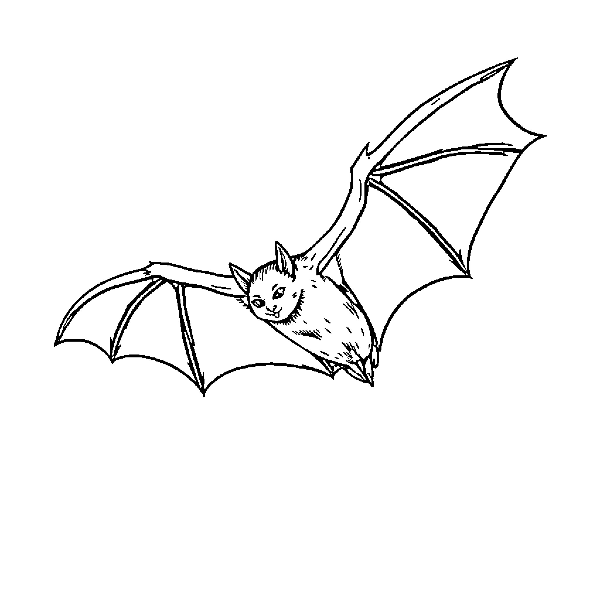 Bat taking flight in black and white Coloring Page (free black-and-white line drawing printable PDF for all, from beginners to advanced learners, including children, teens, adults, and seniors)