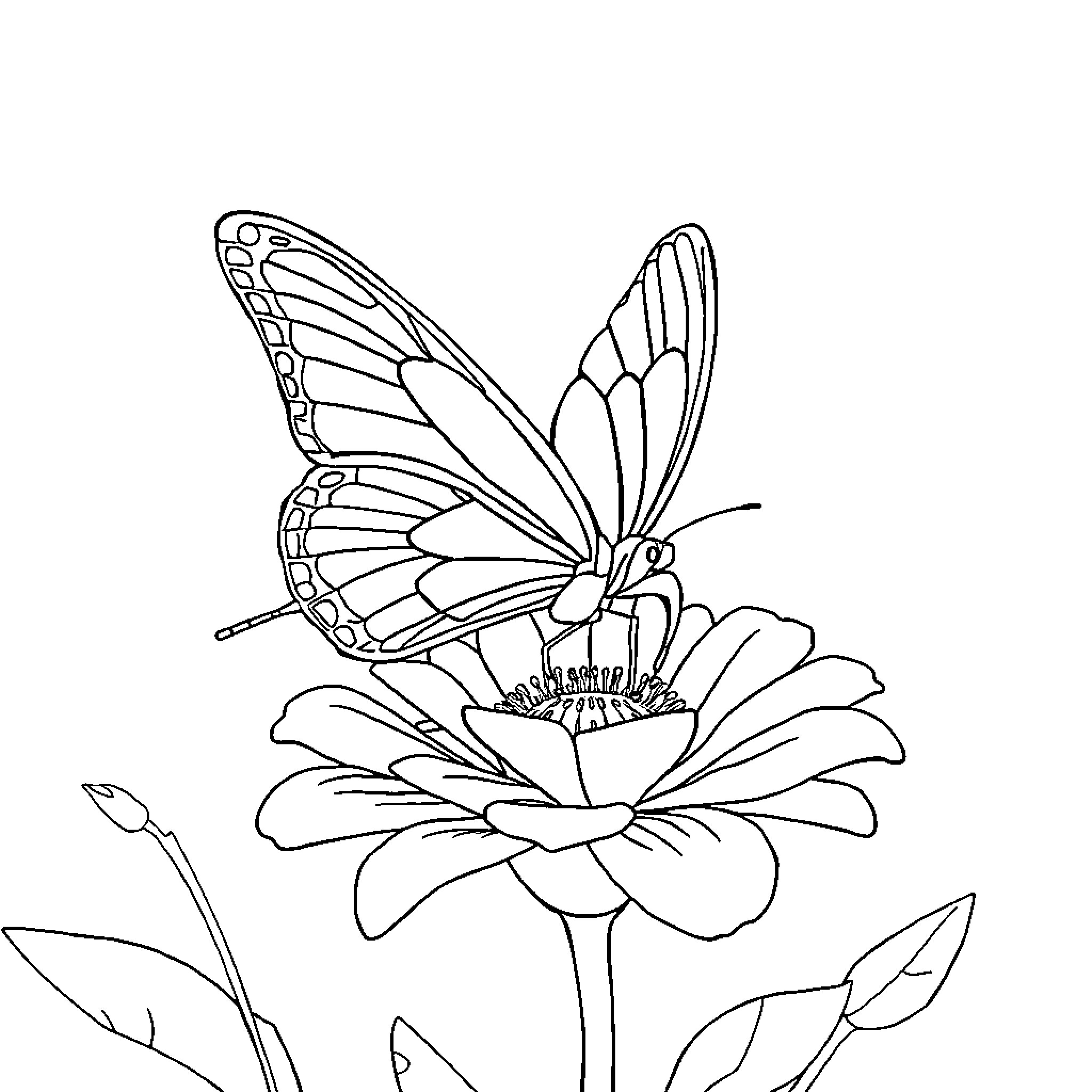 Butterfly perched on a flowering plant Coloring Page (free black-and-white line drawing printable PDF for all, from beginners to advanced learners, including children, teens, adults, and seniors)