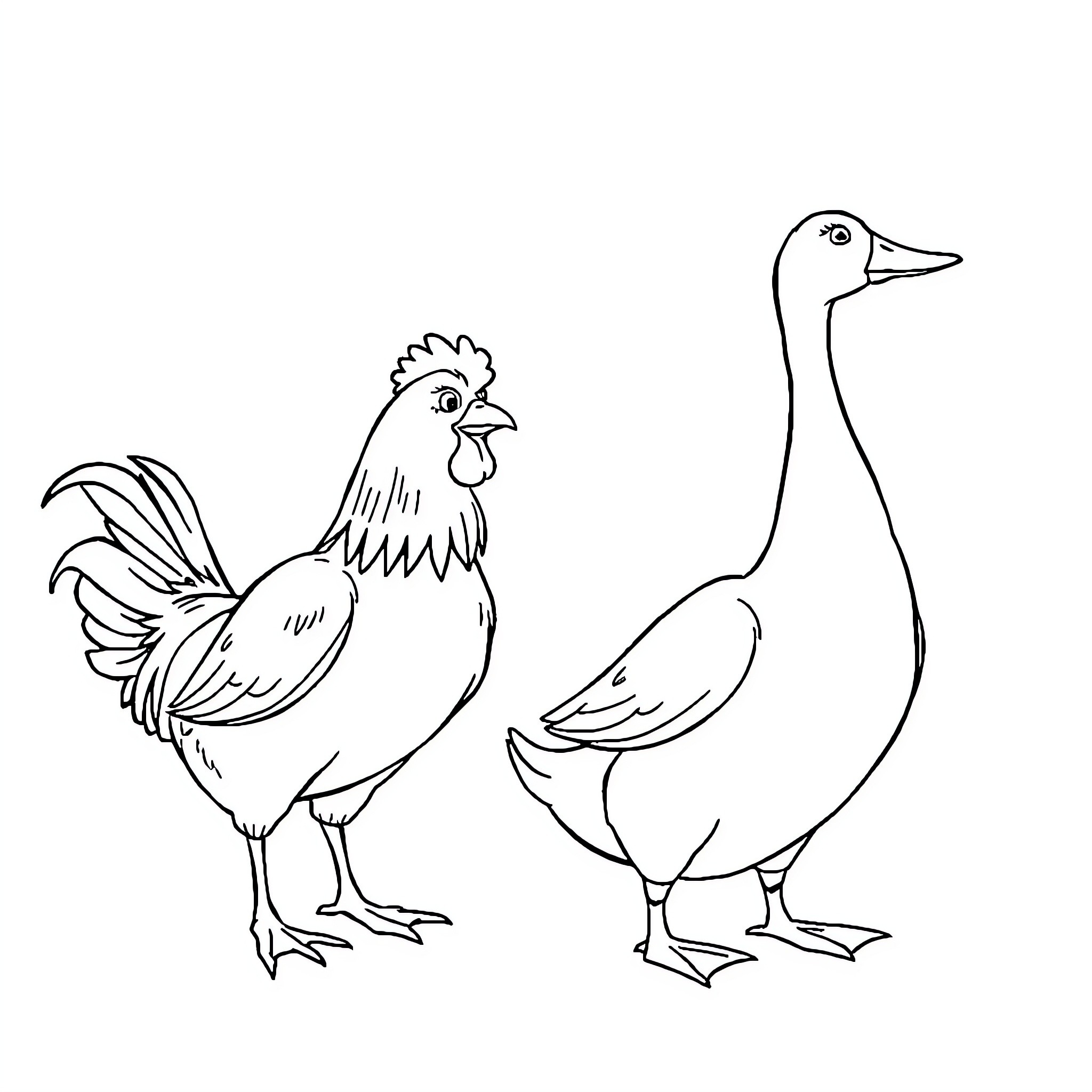 Chicken and Duck in Simple Illustration Coloring Page (free black-and-white line drawing printable PDF for all, from beginners to advanced learners, including children, teens, adults, and seniors)