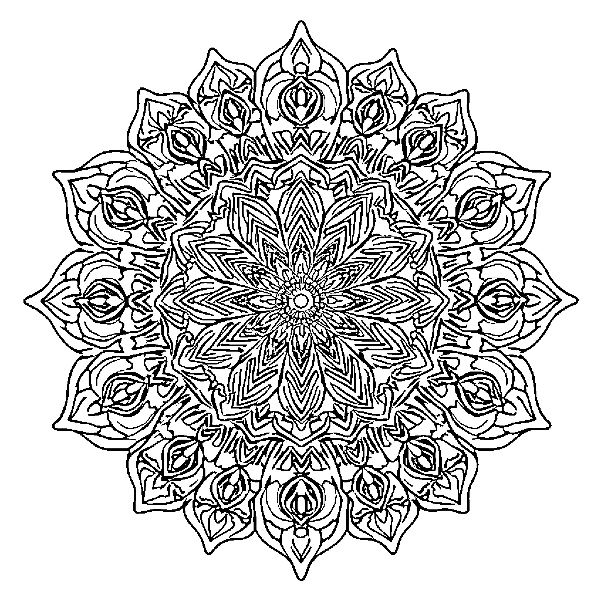 Mandala of intricate floral patterns and shapes Coloring Page (free black-and-white line drawing printable PDF for all, from beginners to advanced learners, including children, teens, adults, and seniors)
