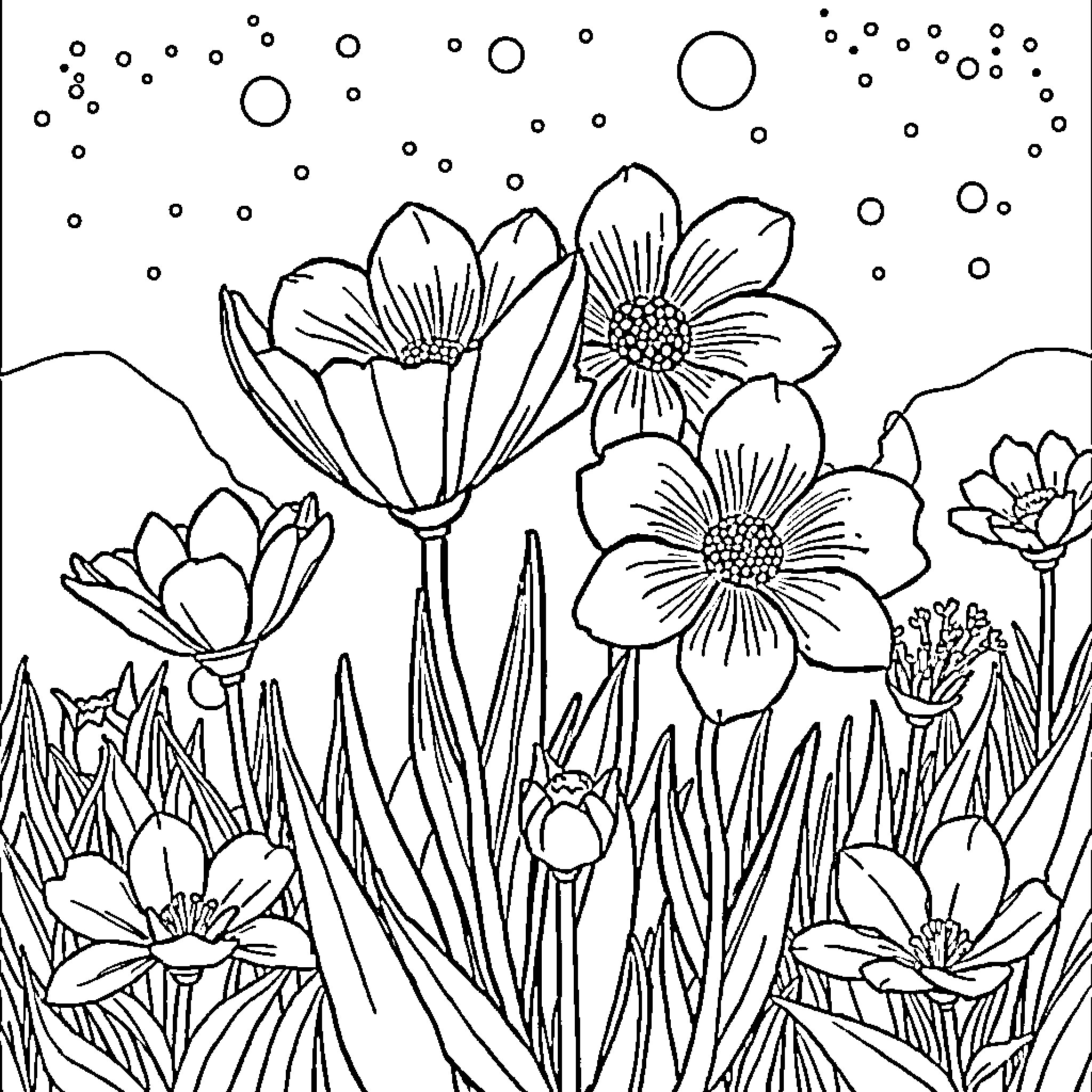 Flower Garden with Blossoms and Bubbles Coloring Page (free black-and-white line drawing printable PDF for all, from beginners to advanced learners, including children, teens, adults, and seniors)