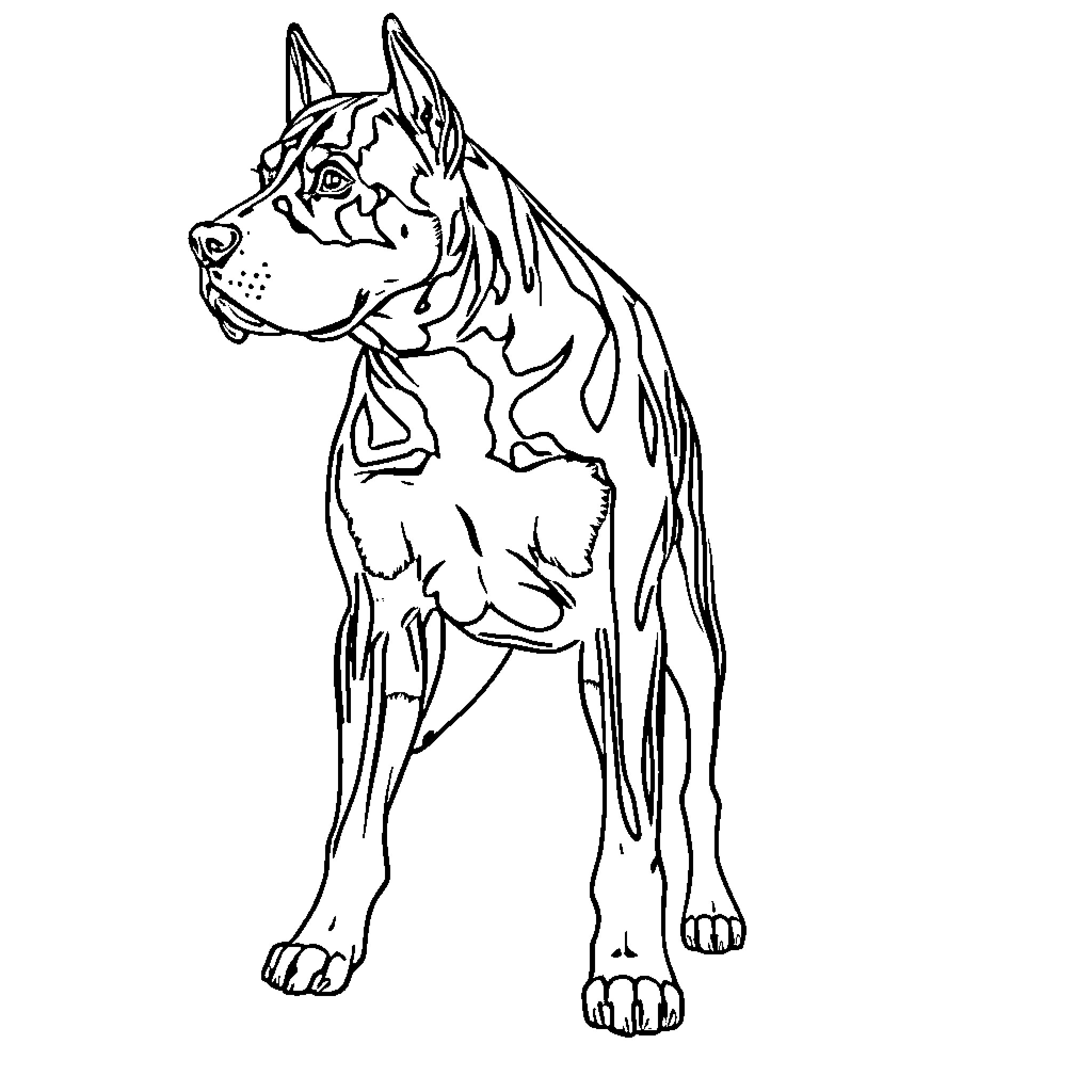 Beauceron dog standing alert Coloring Page (free black-and-white line drawing printable PDF for all, from beginners to advanced learners, including children, teens, adults, and seniors)