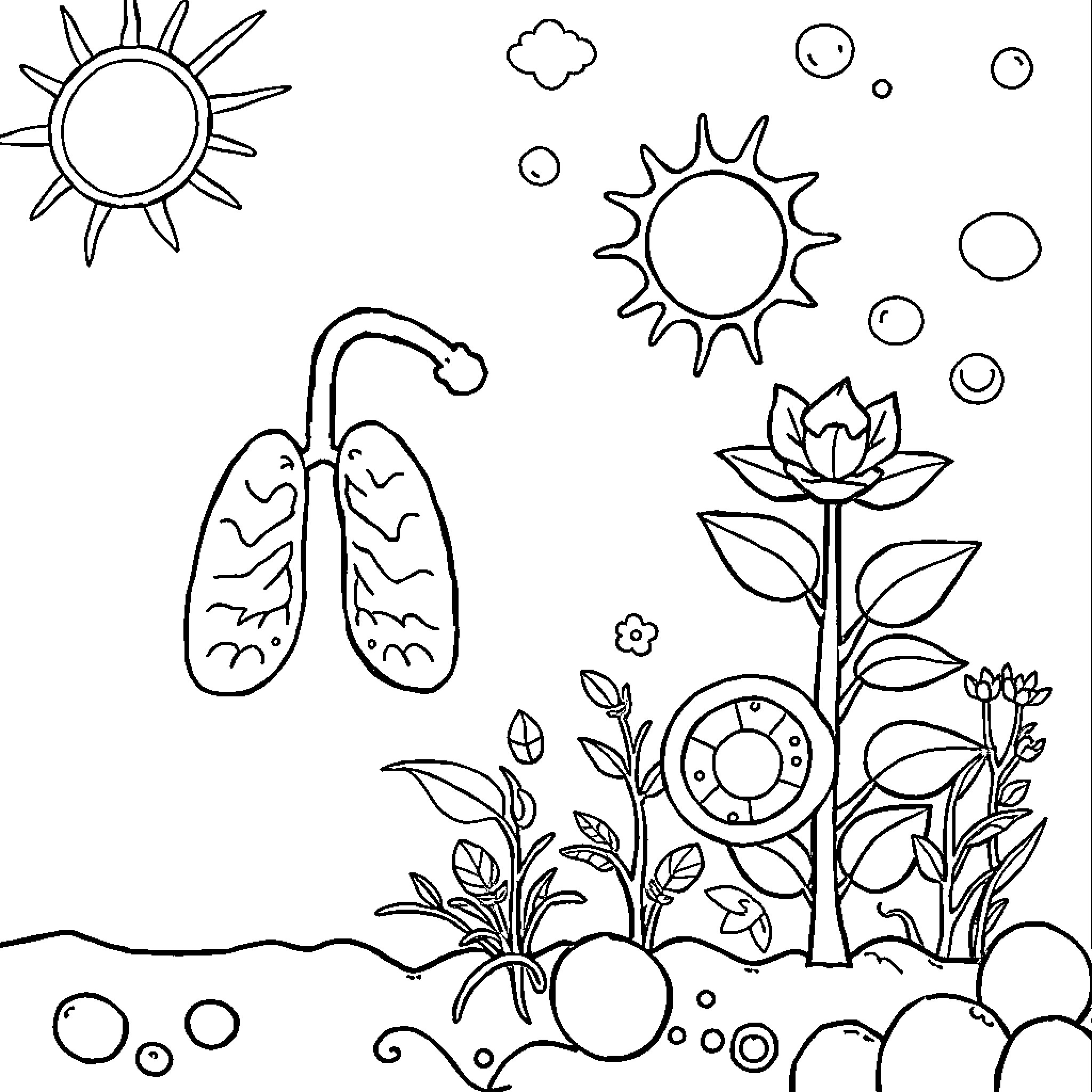 Cell Blossoms and Nature's Wonders Coloring Page (free black-and-white line drawing printable PDF for all, from beginners to advanced learners, including children, teens, adults, and seniors)