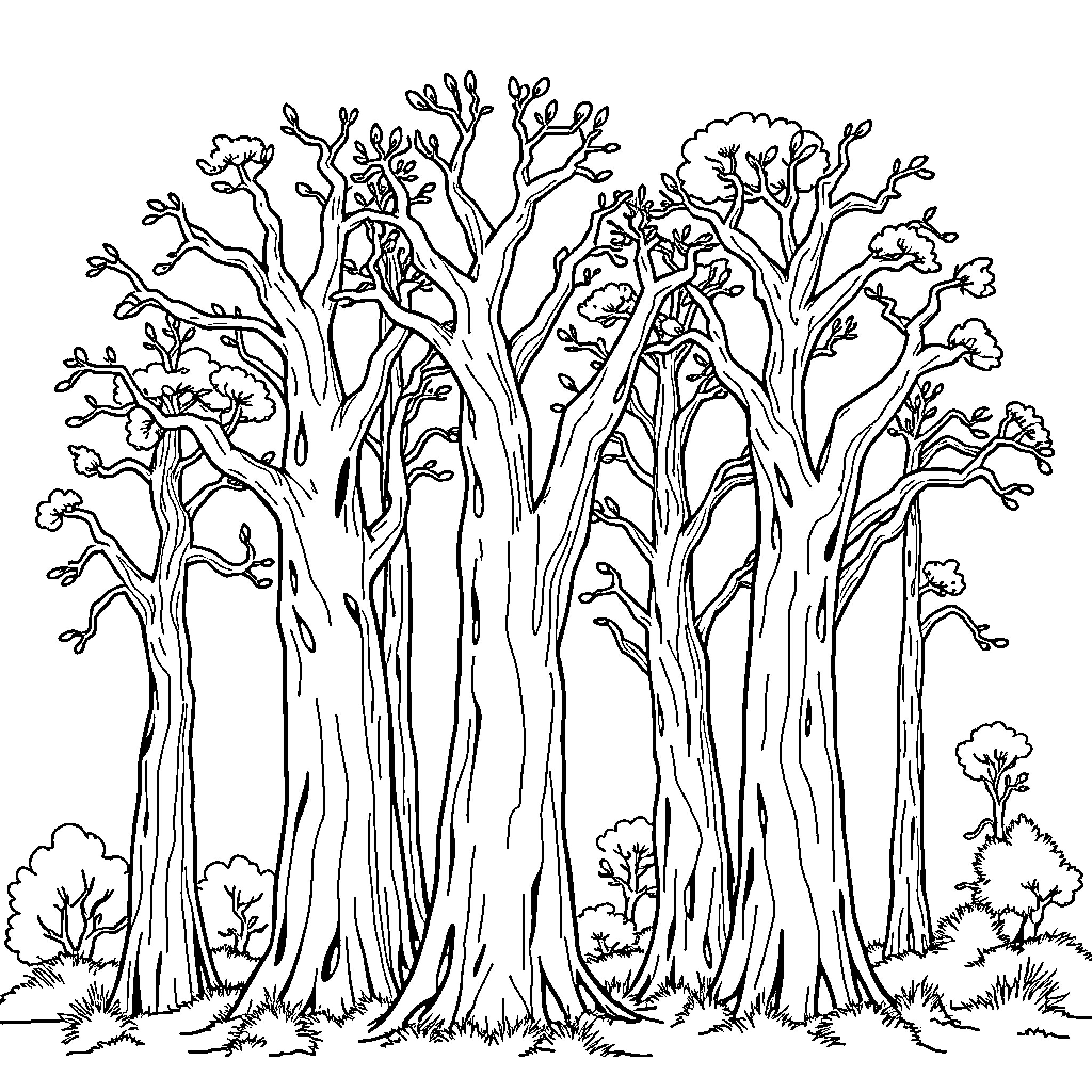 Tree forest with intricate branches and foliage Coloring Page (free black-and-white line drawing printable PDF for all, from beginners to advanced learners, including children, teens, adults, and seniors)