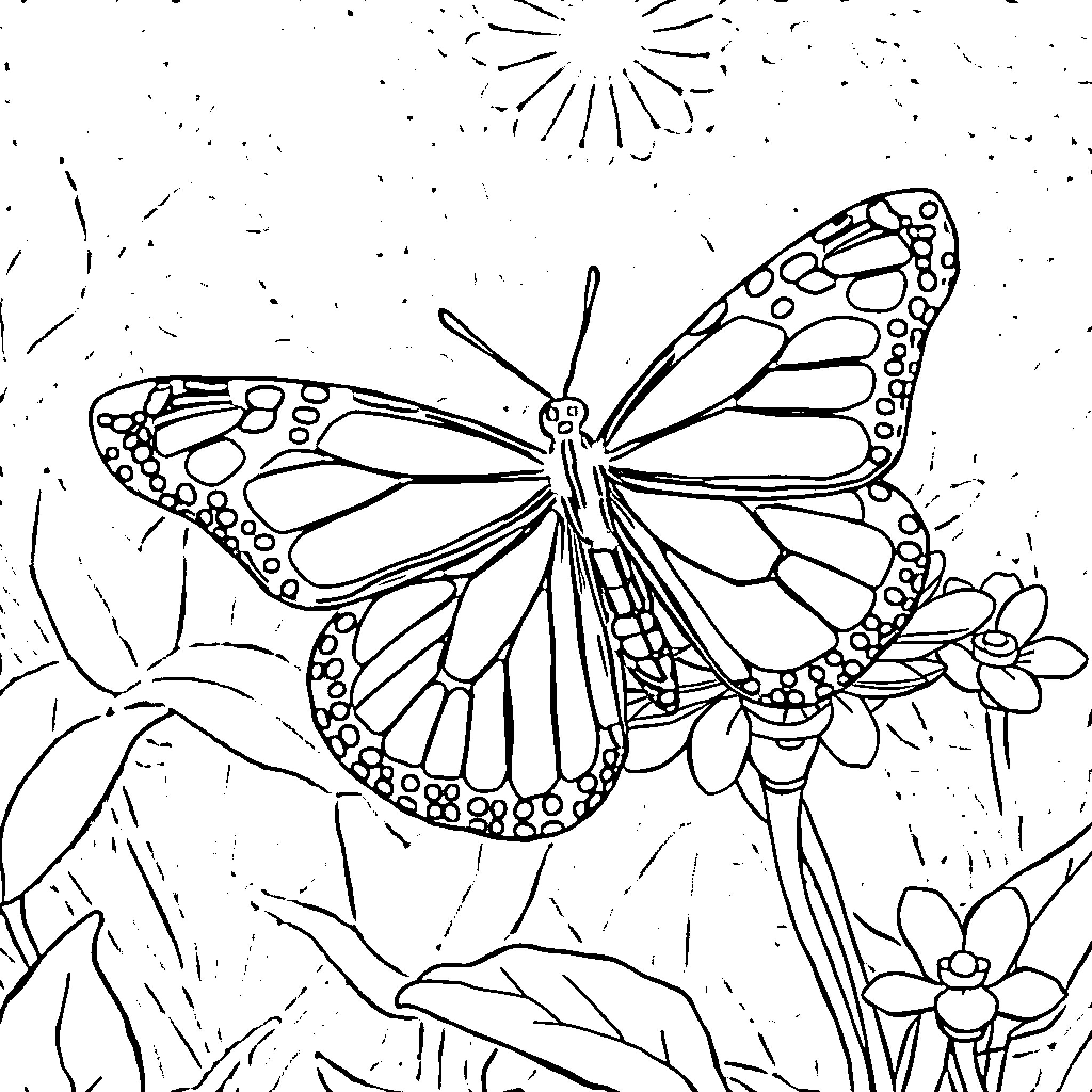 Monarch Butterfly in a whimsical meadow Coloring Page (free black-and-white line drawing printable PDF for all, from beginners to advanced learners, including children, teens, adults, and seniors)