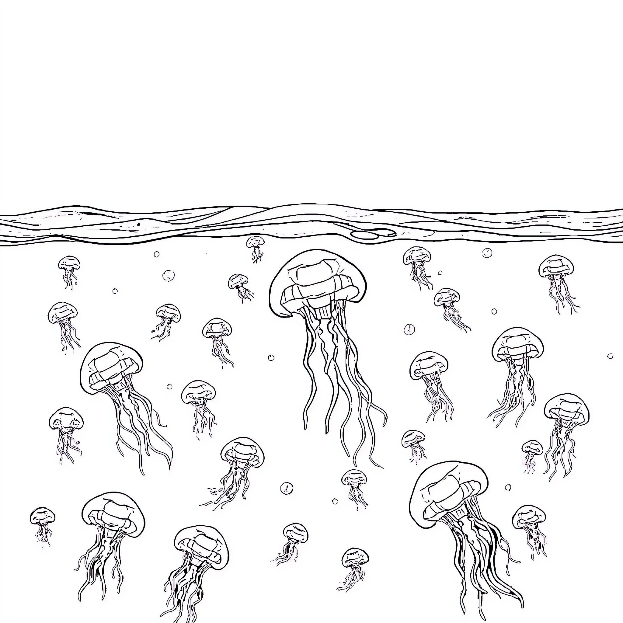 Jellyfish swimming gracefully in the ocean Coloring Page (free black-and-white line drawing printable PDF for all, from beginners to advanced learners, including children, teens, adults, and seniors)