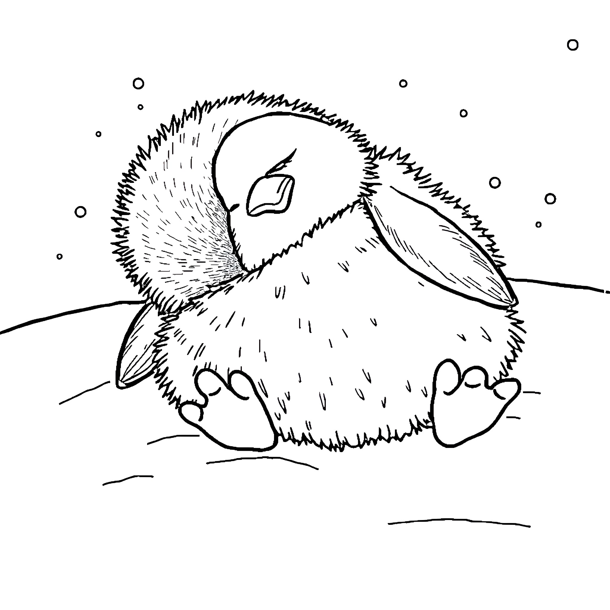 Penguin resting peacefully in the snow Coloring Page (free black-and-white line drawing printable PDF for all, from beginners to advanced learners, including children, teens, adults, and seniors)