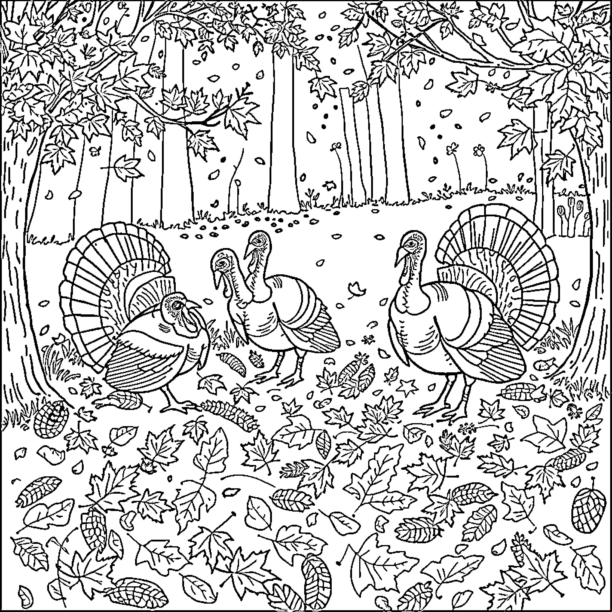 Turkey strolling through the autumn forest Coloring Page (free black-and-white line drawing printable PDF for all, from beginners to advanced learners, including children, teens, adults, and seniors)