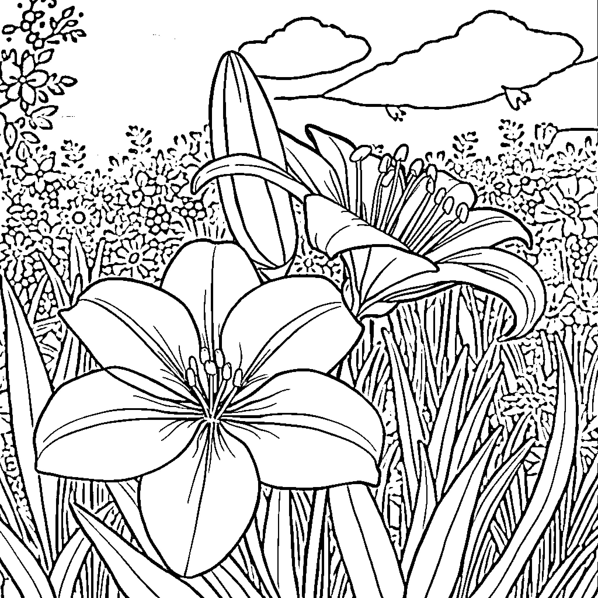 Lily Blooming in the Serene Landscape Coloring Page (free black-and-white line drawing printable PDF for all, from beginners to advanced learners, including children, teens, adults, and seniors)