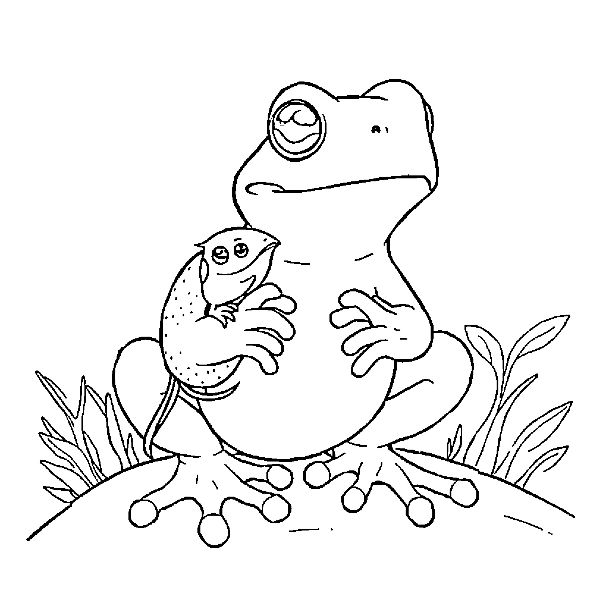 Toad holding a fish in the wilderness Coloring Page (free black-and-white line drawing printable PDF for all, from beginners to advanced learners, including children, teens, adults, and seniors)