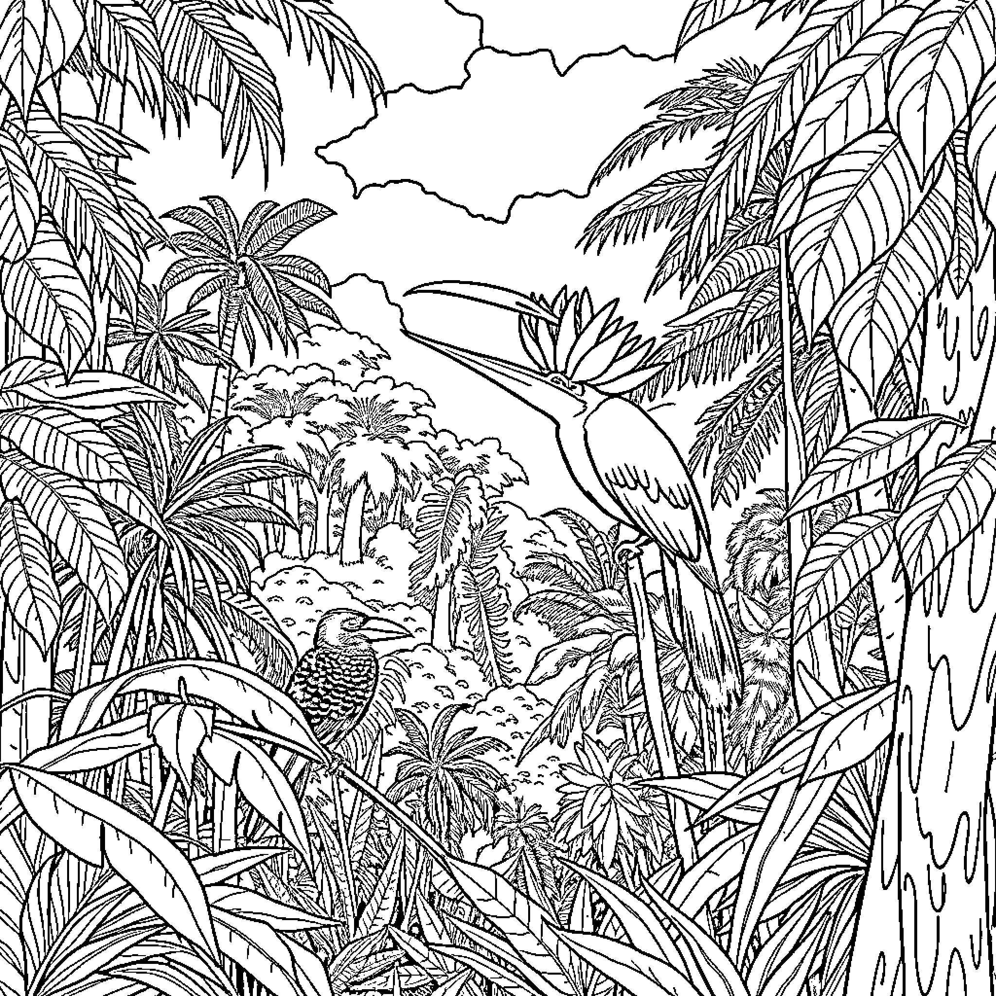 Bird of Paradise in a Tropical Jungle Scene Coloring Page (free black-and-white line drawing printable PDF for all, from beginners to advanced learners, including children, teens, adults, and seniors)