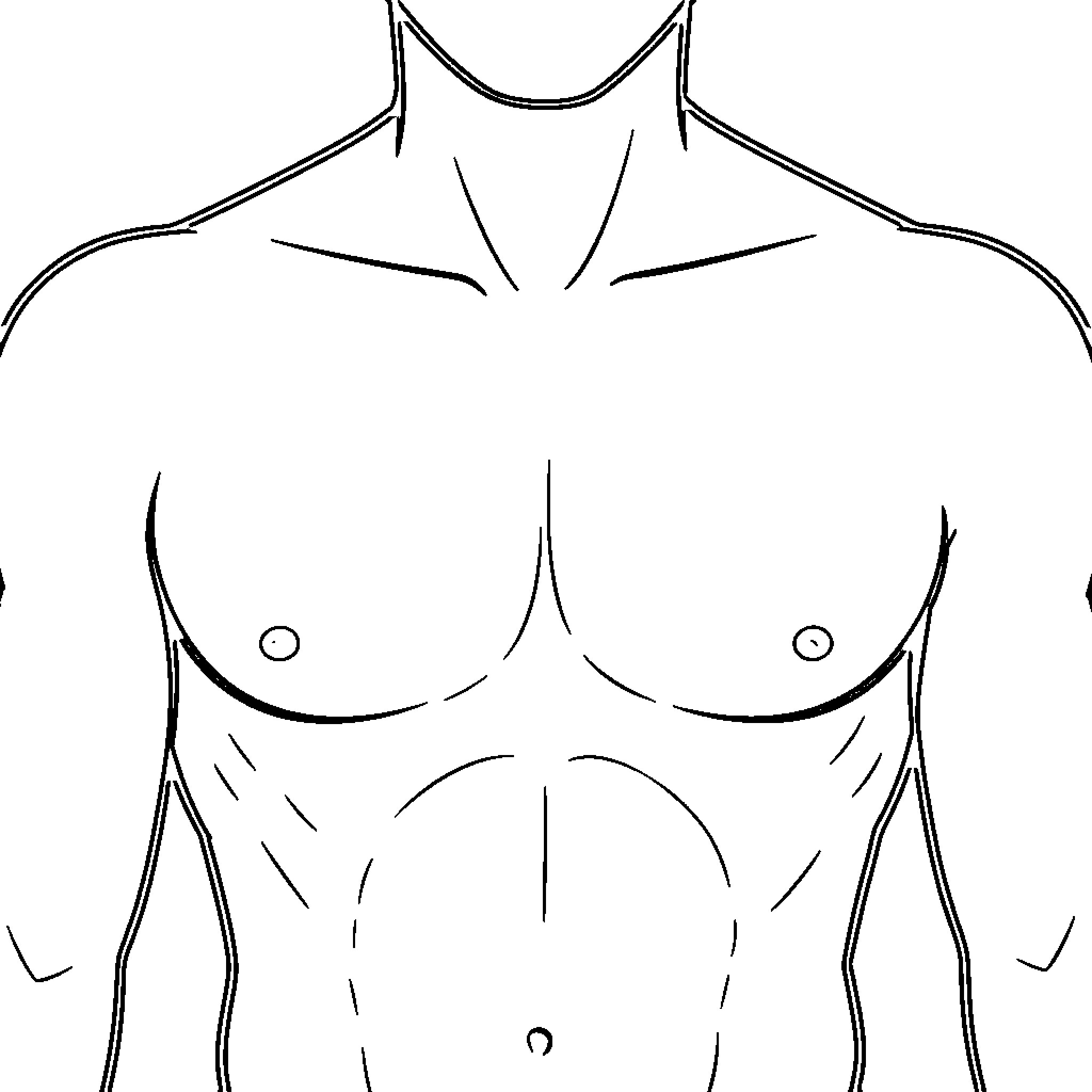 Breast and torso anatomy line art sketch Coloring Page (free black-and-white line drawing printable PDF for all, from beginners to advanced learners, including children, teens, adults, and seniors)