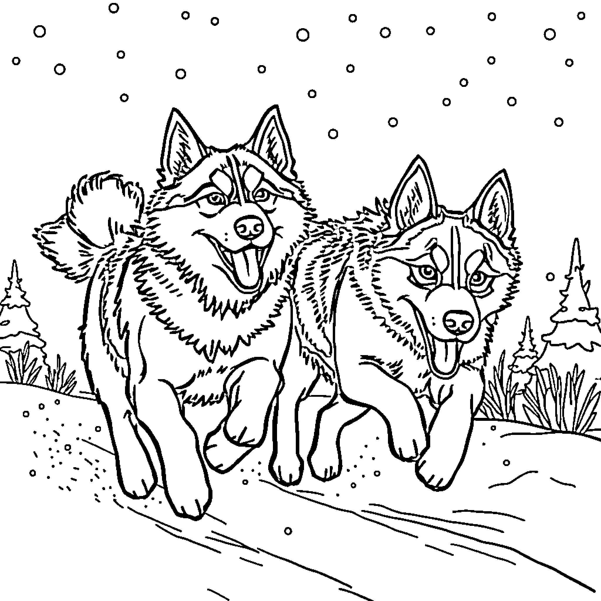 Husky Huskies Playfully Exploring Snowy Landscape Coloring Page (free black-and-white line drawing printable PDF for all, from beginners to advanced learners, including children, teens, adults, and seniors)