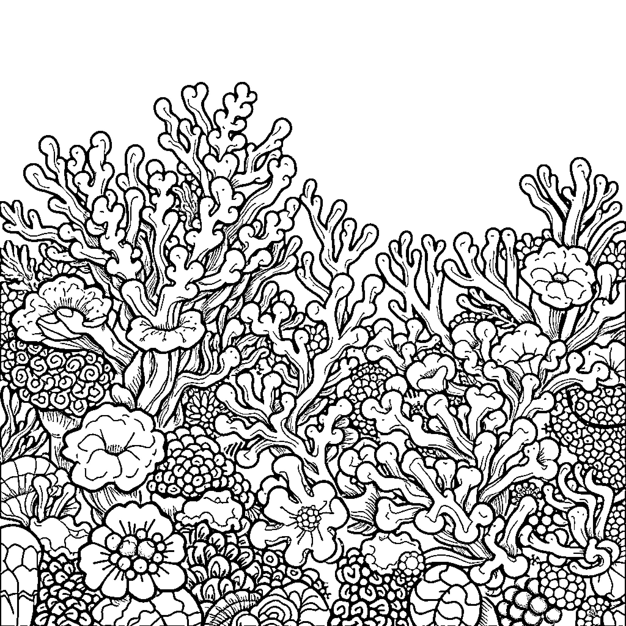 Algae Garden with Vibrant Floral Details Coloring Page (free black-and-white line drawing printable PDF for all, from beginners to advanced learners, including children, teens, adults, and seniors)