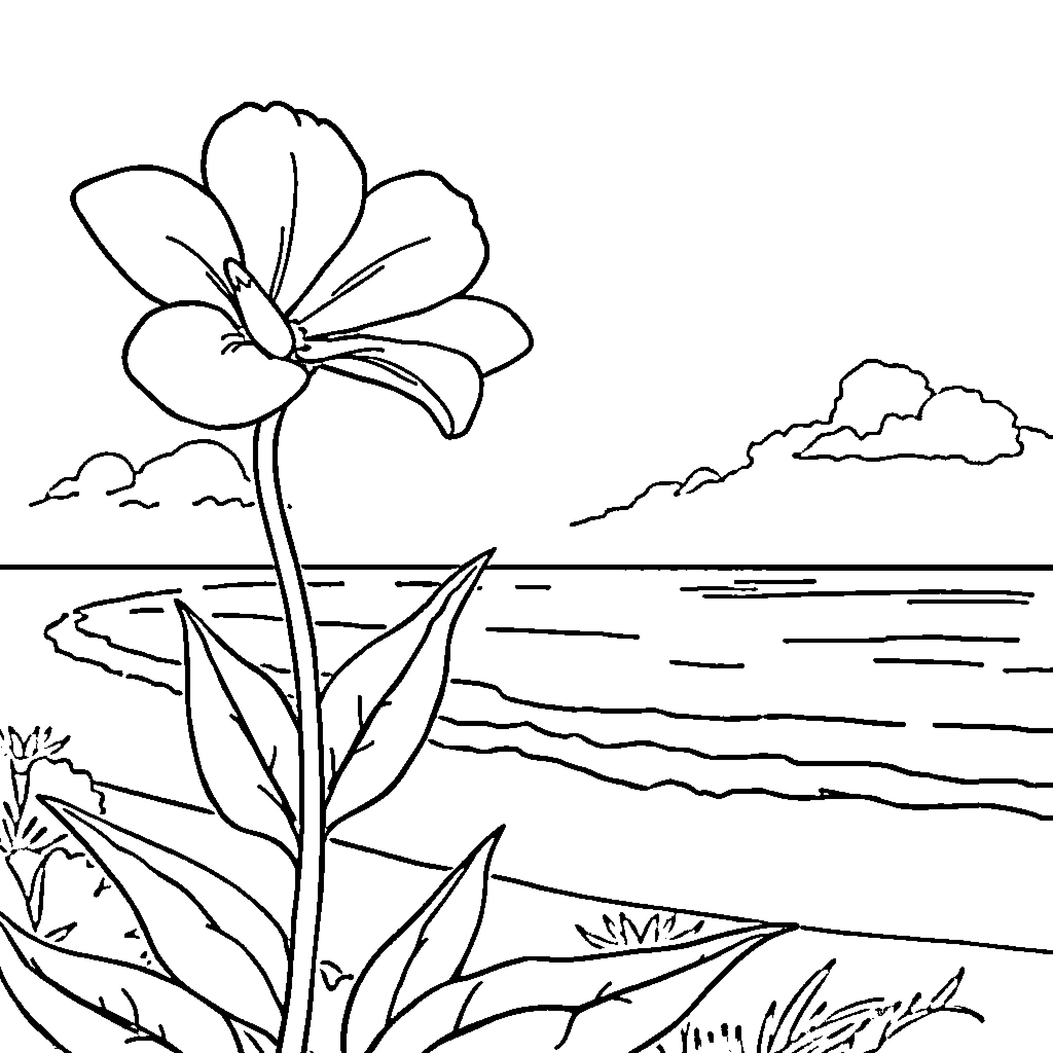 Flower blooming by the tranquil lake Coloring Page (free black-and-white line drawing printable PDF for all, from beginners to advanced learners, including children, teens, adults, and seniors)
