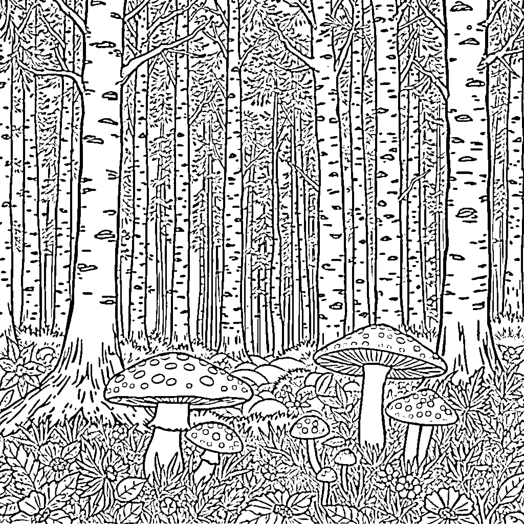 Woodland scene with mushrooms and trees Coloring Page (free black-and-white line drawing printable PDF for all, from beginners to advanced learners, including children, teens, adults, and seniors)