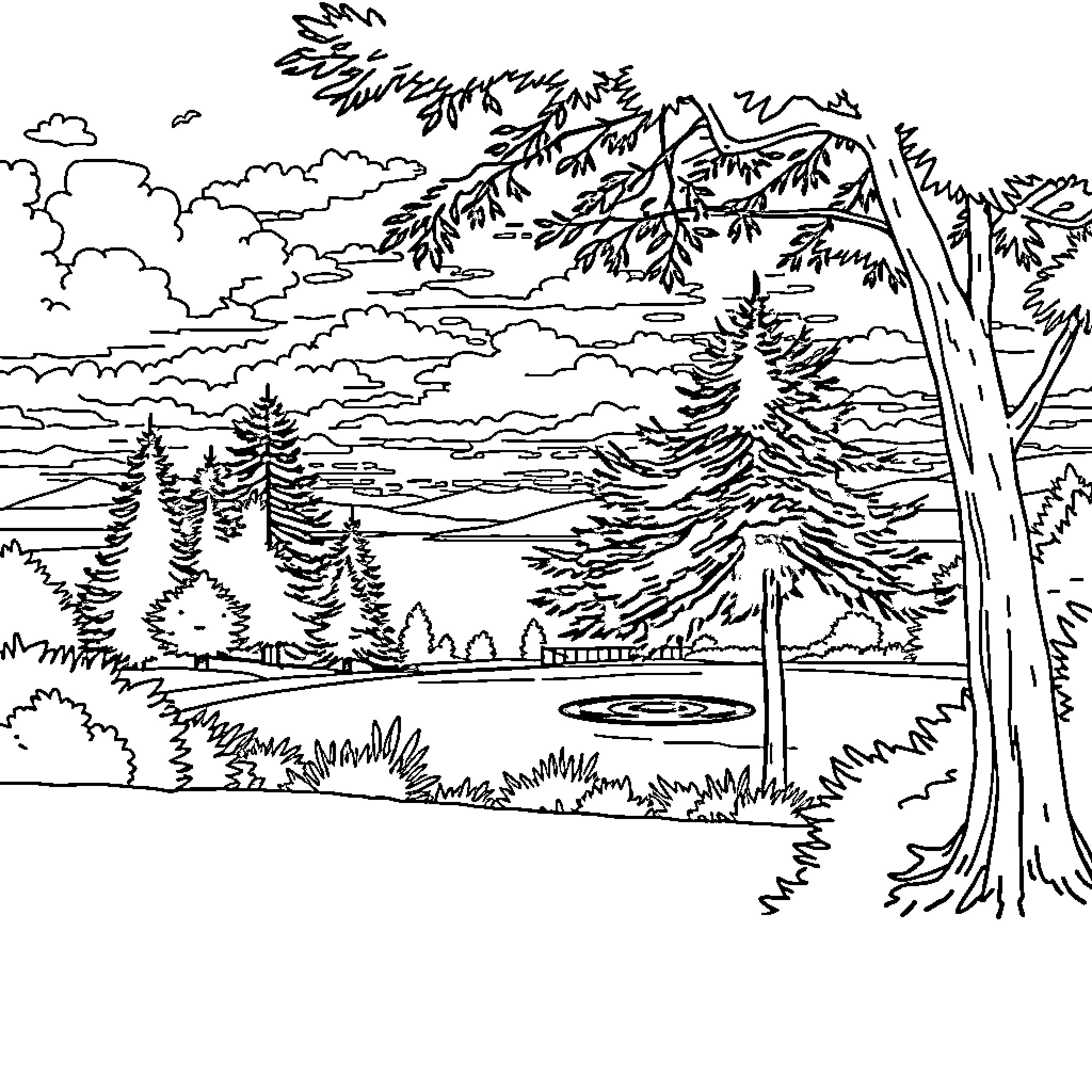 Park scene with trees, lake, and cloudy sky Coloring Page (free black-and-white line drawing printable PDF for all, from beginners to advanced learners, including children, teens, adults, and seniors)
