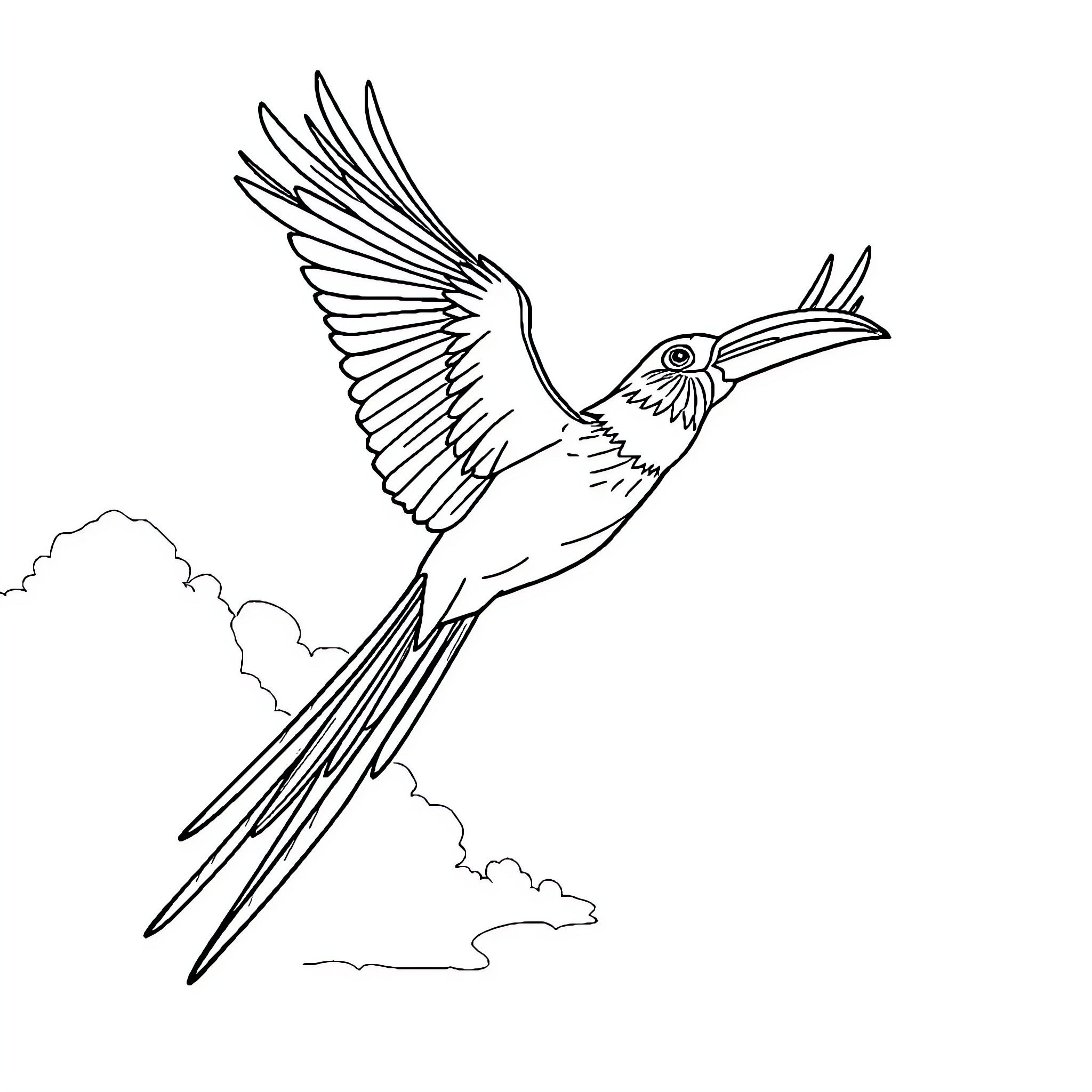 Guacamaya soaring through the skies Coloring Page (free black-and-white line drawing printable PDF for all, from beginners to advanced learners, including children, teens, adults, and seniors)