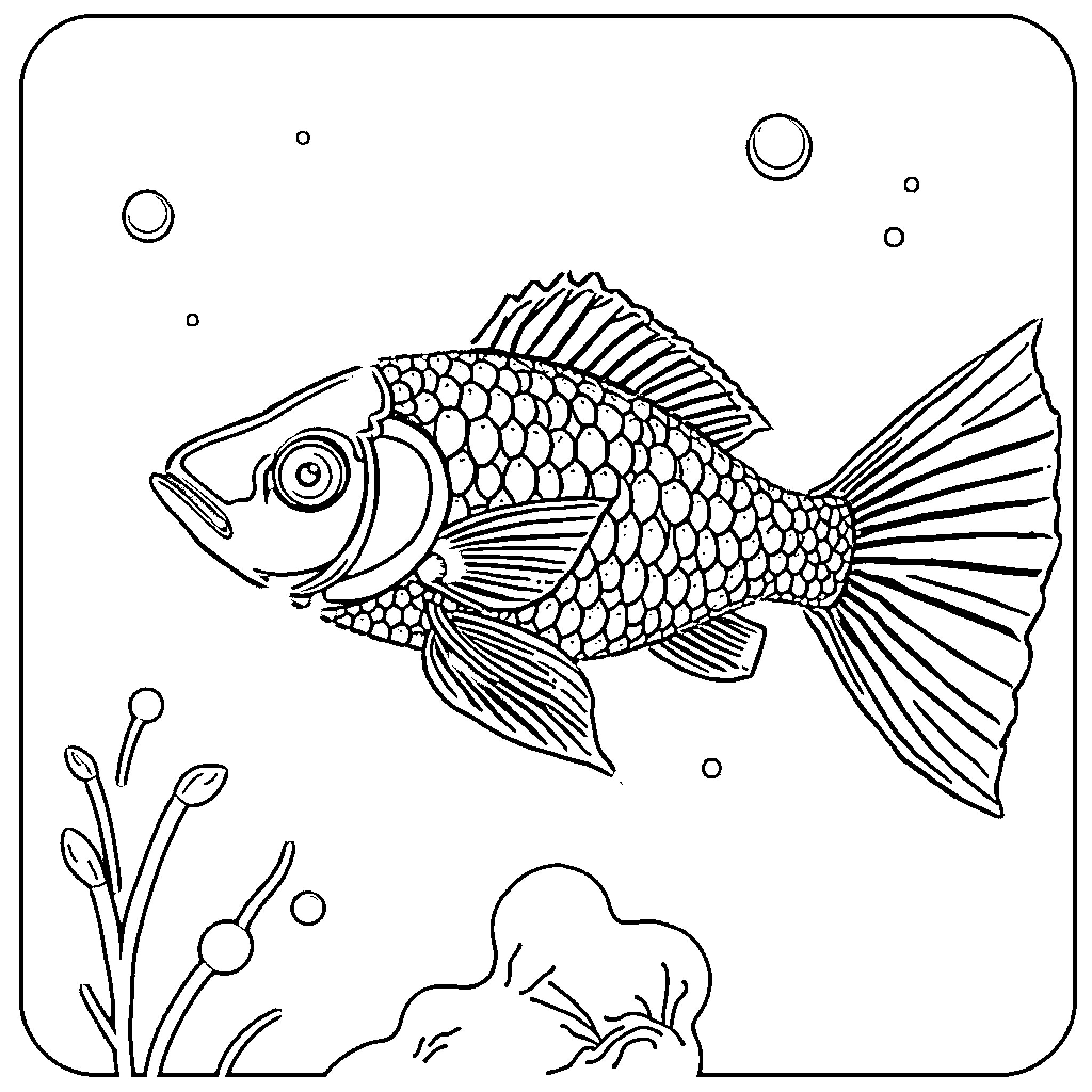 Fish swimming among bubbles and seaweed Coloring Page (free black-and-white line drawing printable PDF for all, from beginners to advanced learners, including children, teens, adults, and seniors)