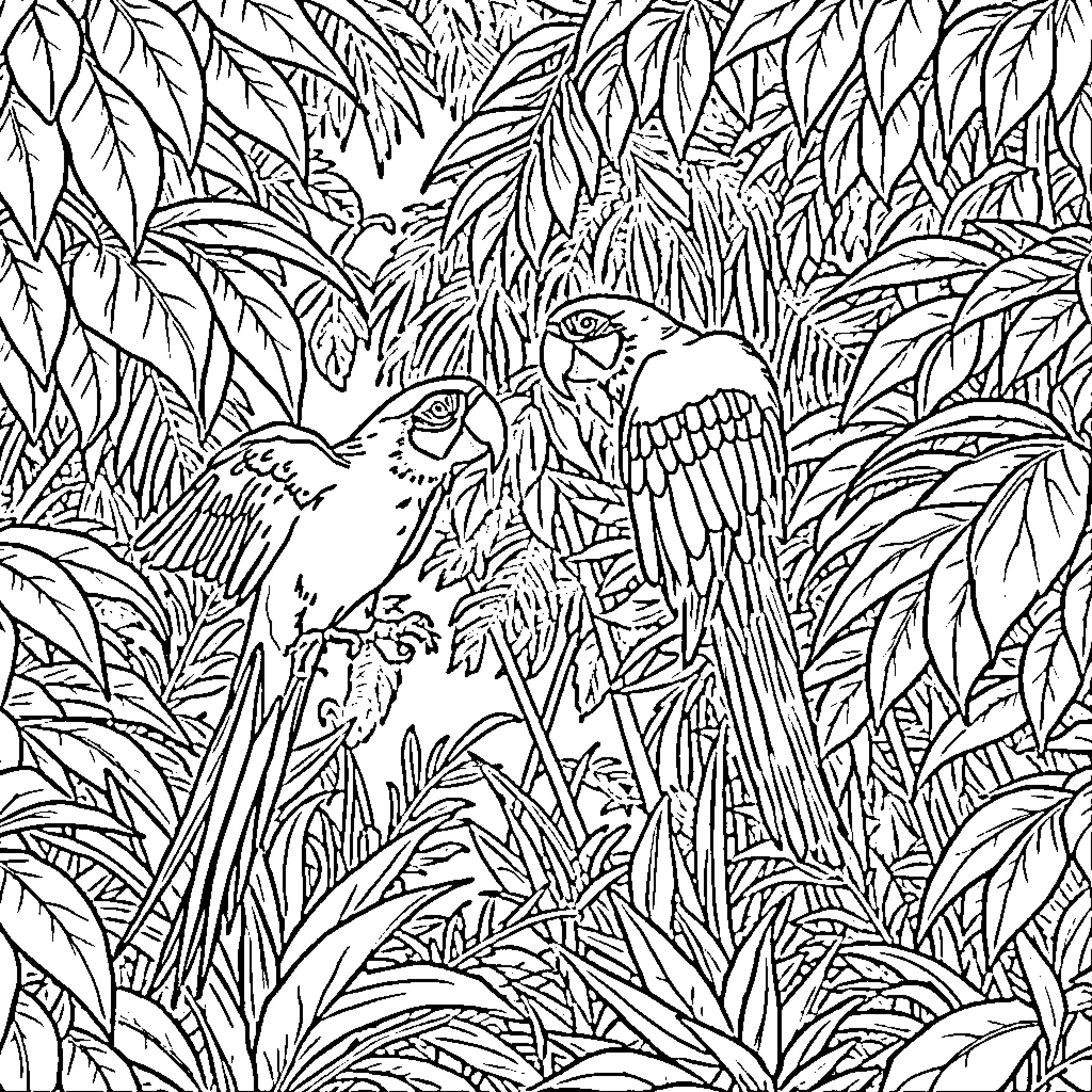 Macaw perched amidst lush tropical foliage Coloring Page (free black-and-white line drawing printable PDF for all, from beginners to advanced learners, including children, teens, adults, and seniors)