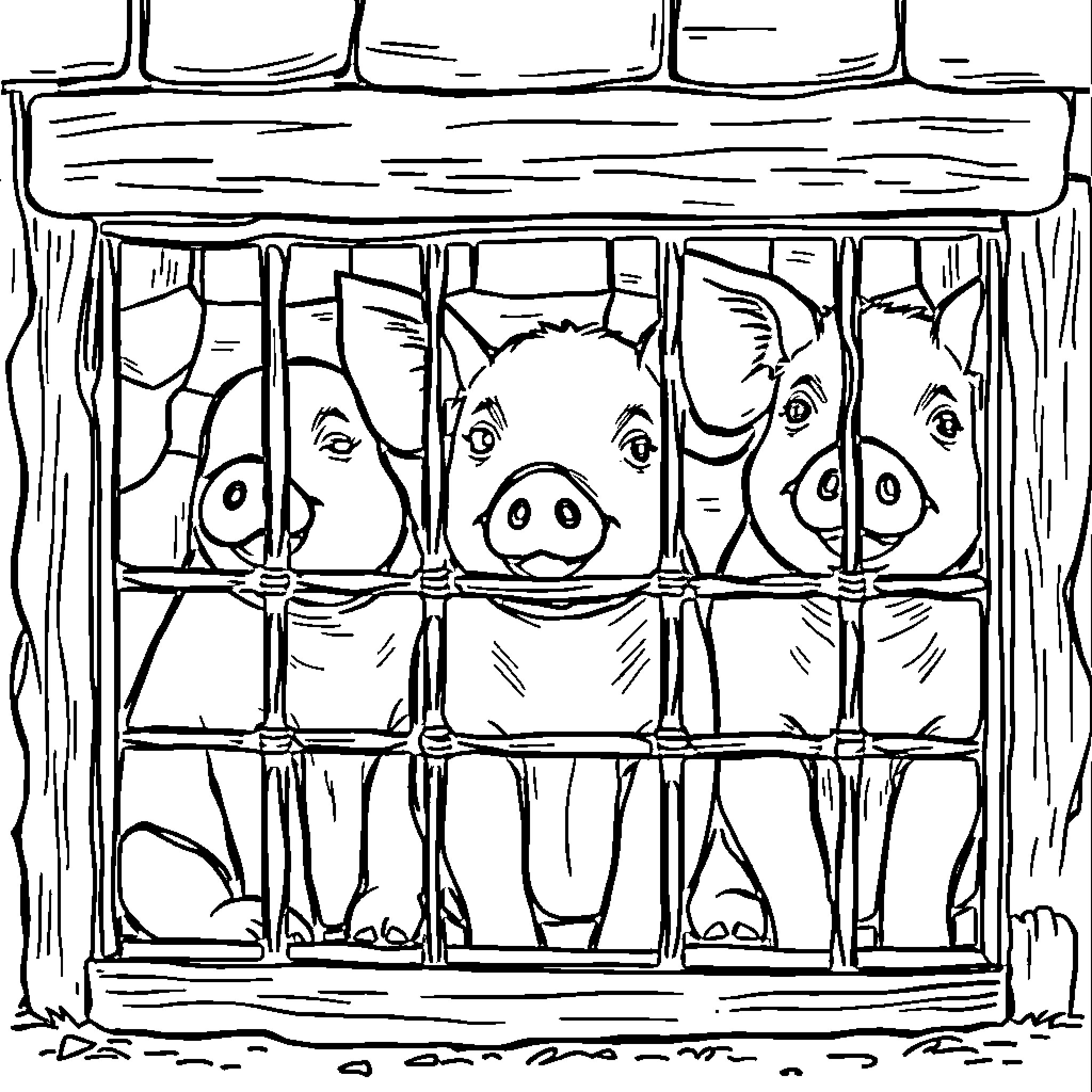 Pigs peering through a wooden fence Coloring Page (free black-and-white line drawing printable PDF for all, from beginners to advanced learners, including children, teens, adults, and seniors)