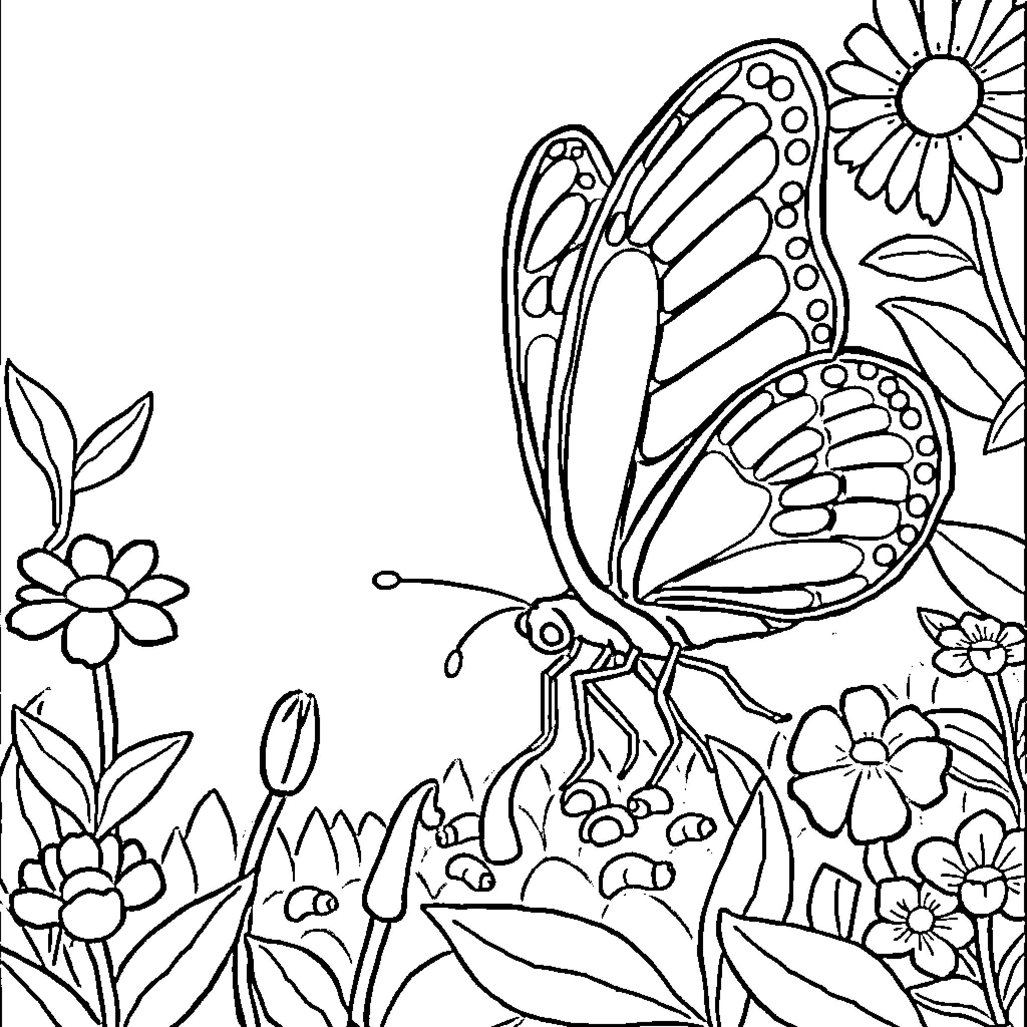 Butterfly resting among vibrant flora Coloring Page (free black-and-white line drawing printable PDF for all, from beginners to advanced learners, including children, teens, adults, and seniors)