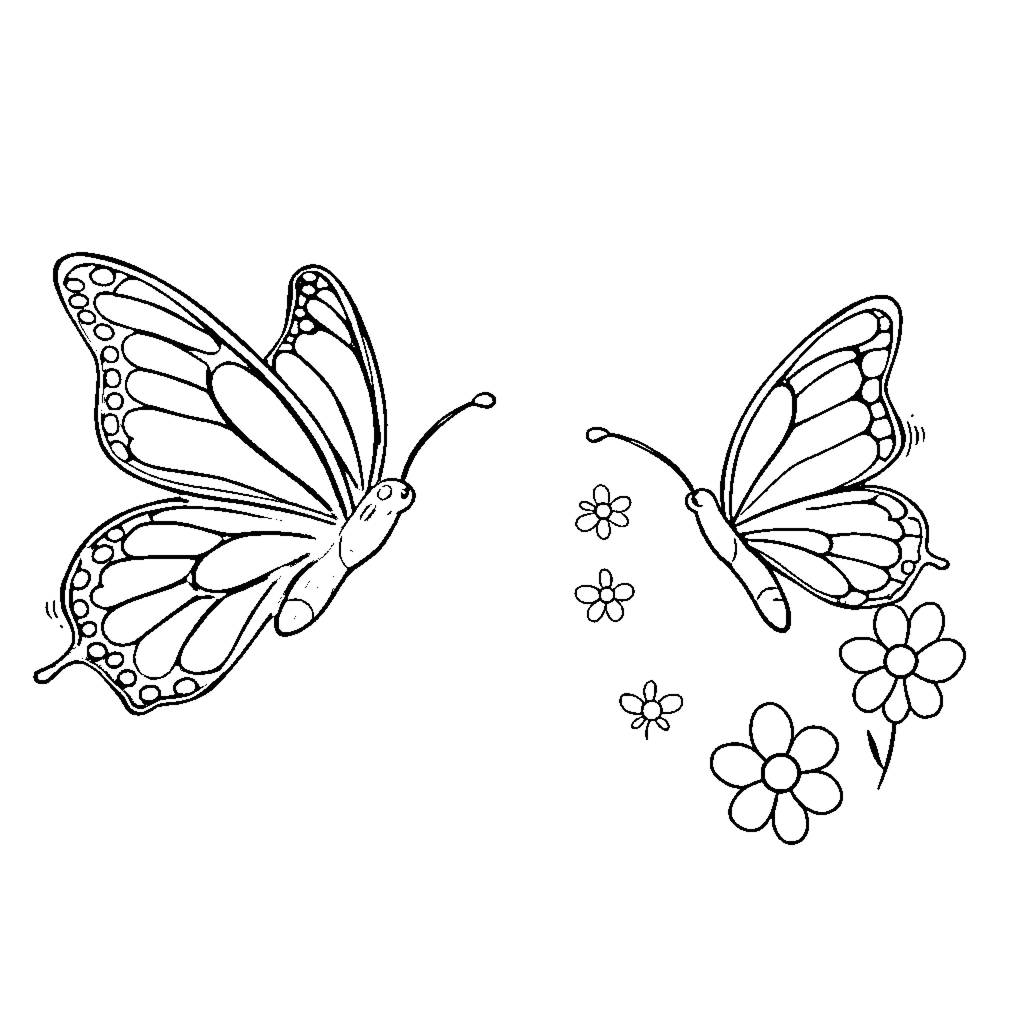 Butterfly Pair Dancing Among Flowers Coloring Page (free black-and-white line drawing printable PDF for all, from beginners to advanced learners, including children, teens, adults, and seniors)