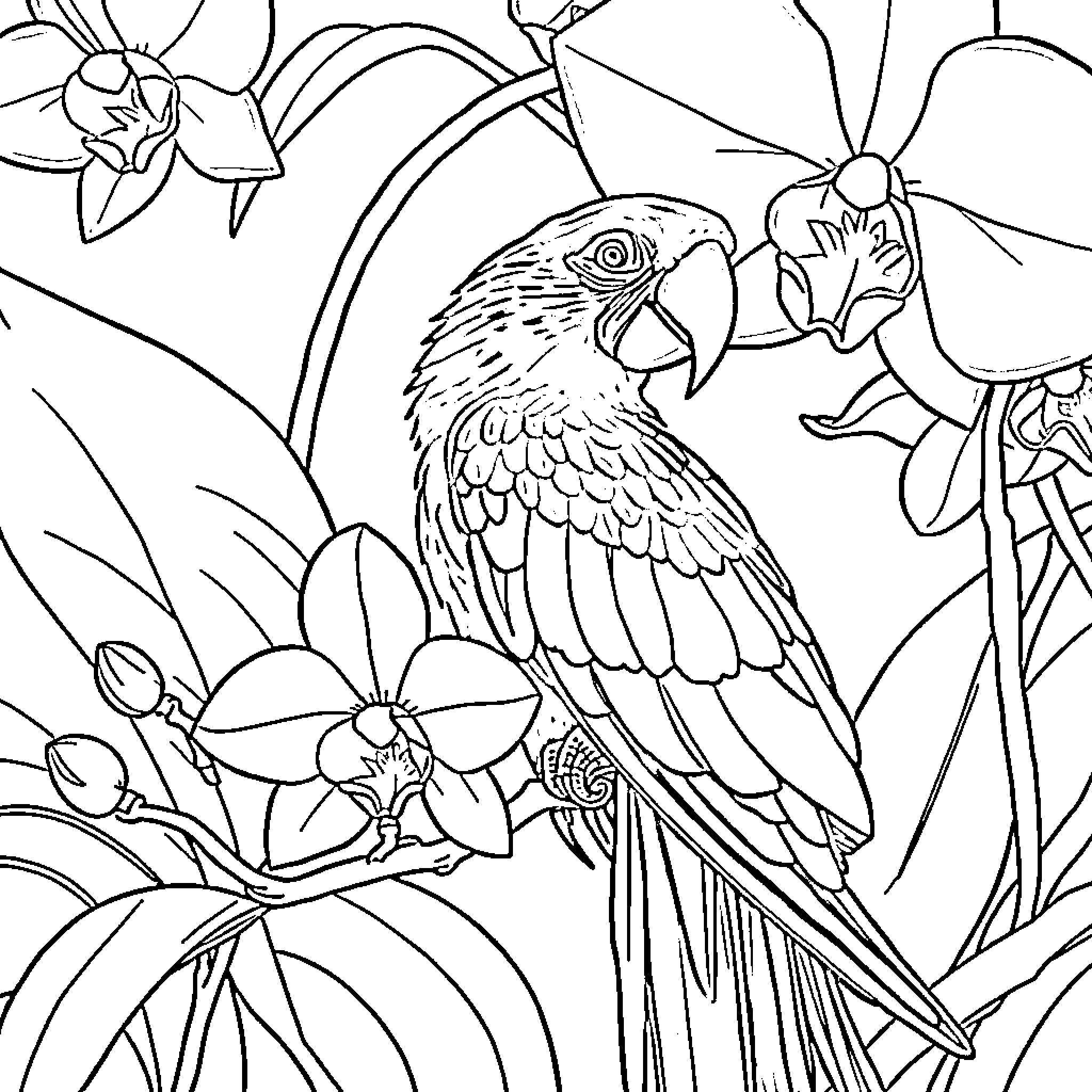 Macaw amidst tropical flowers and foliage Coloring Page (free black-and-white line drawing printable PDF for all, from beginners to advanced learners, including children, teens, adults, and seniors)