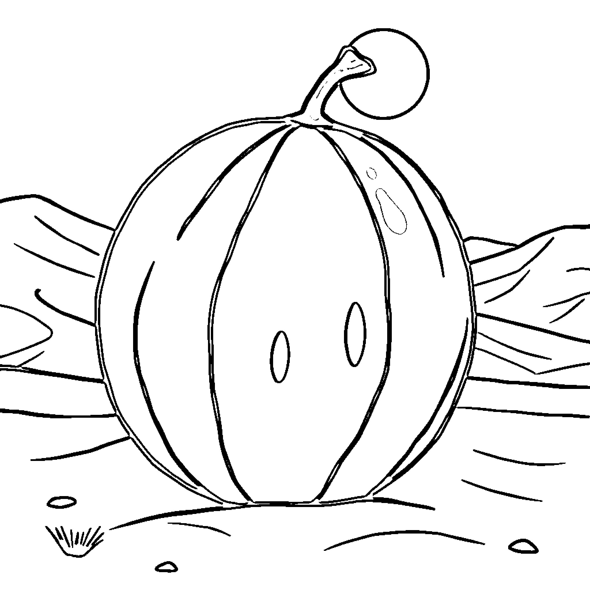 Melon sitting on the ground Coloring Page (free black-and-white line drawing printable PDF for all, from beginners to advanced learners, including children, teens, adults, and seniors)