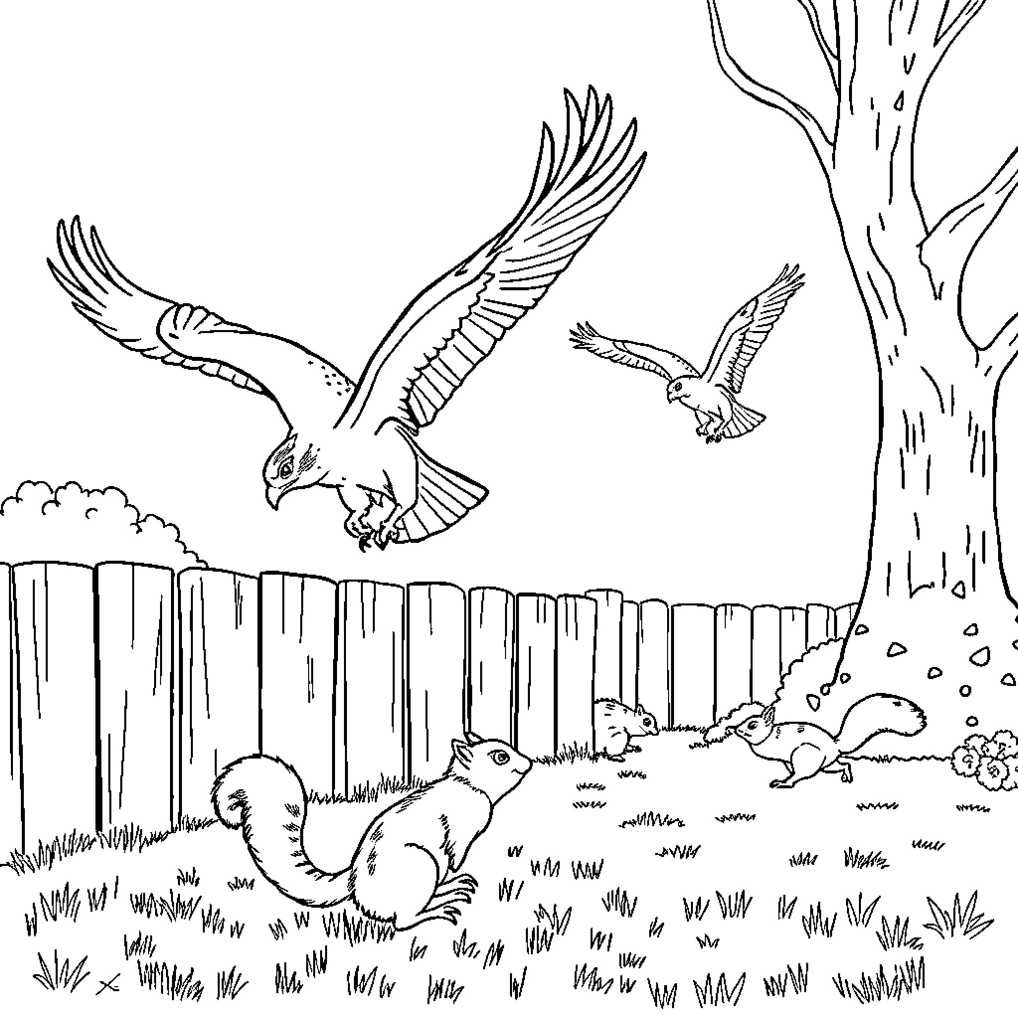 Hawk soaring over woodland creatures in a peaceful scene Coloring Page (free black-and-white line drawing printable PDF for all, from beginners to advanced learners, including children, teens, adults, and seniors)