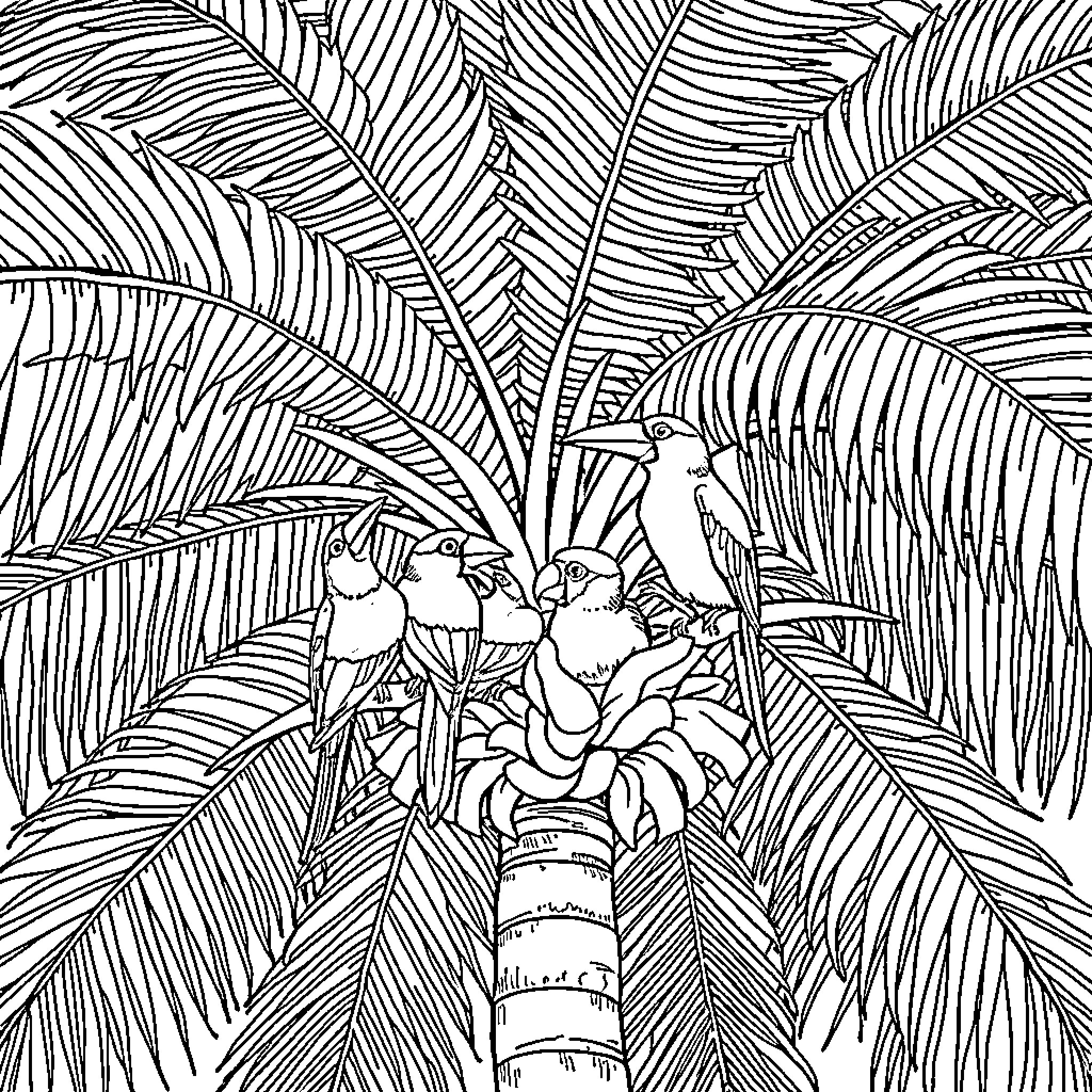 Bird colony thriving in lush tropical foliage Coloring Page (free black-and-white line drawing printable PDF for all, from beginners to advanced learners, including children, teens, adults, and seniors)