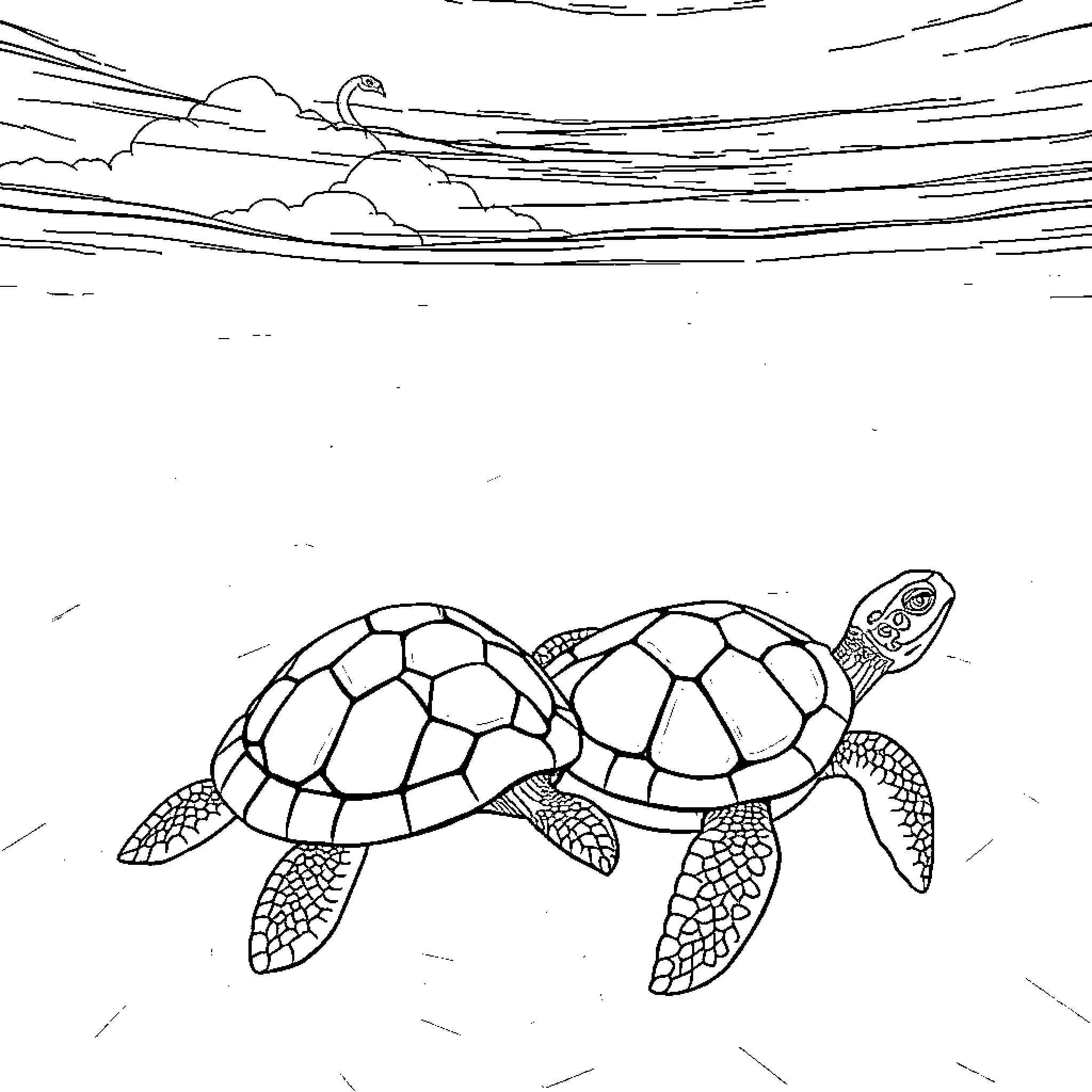 Turtles swimming in the ocean Coloring Page (free black-and-white line drawing printable PDF for all, from beginners to advanced learners, including children, teens, adults, and seniors)