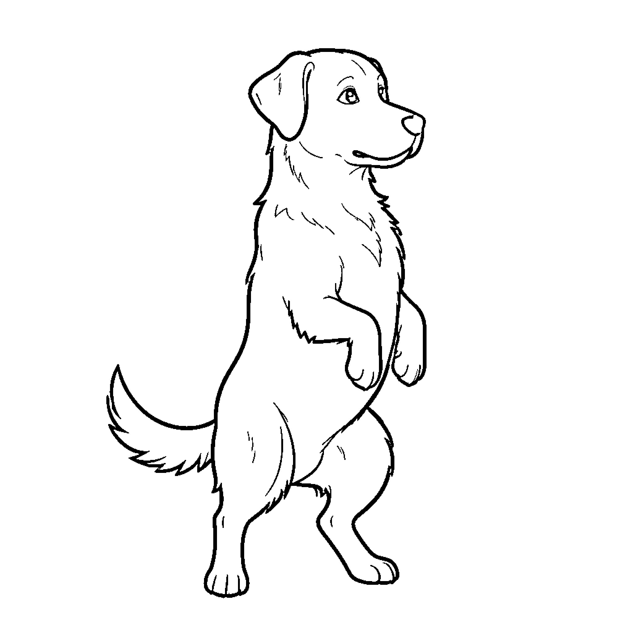 Dog standing on hind legs looking ahead Coloring Page (free black-and-white line drawing printable PDF for all, from beginners to advanced learners, including children, teens, adults, and seniors)