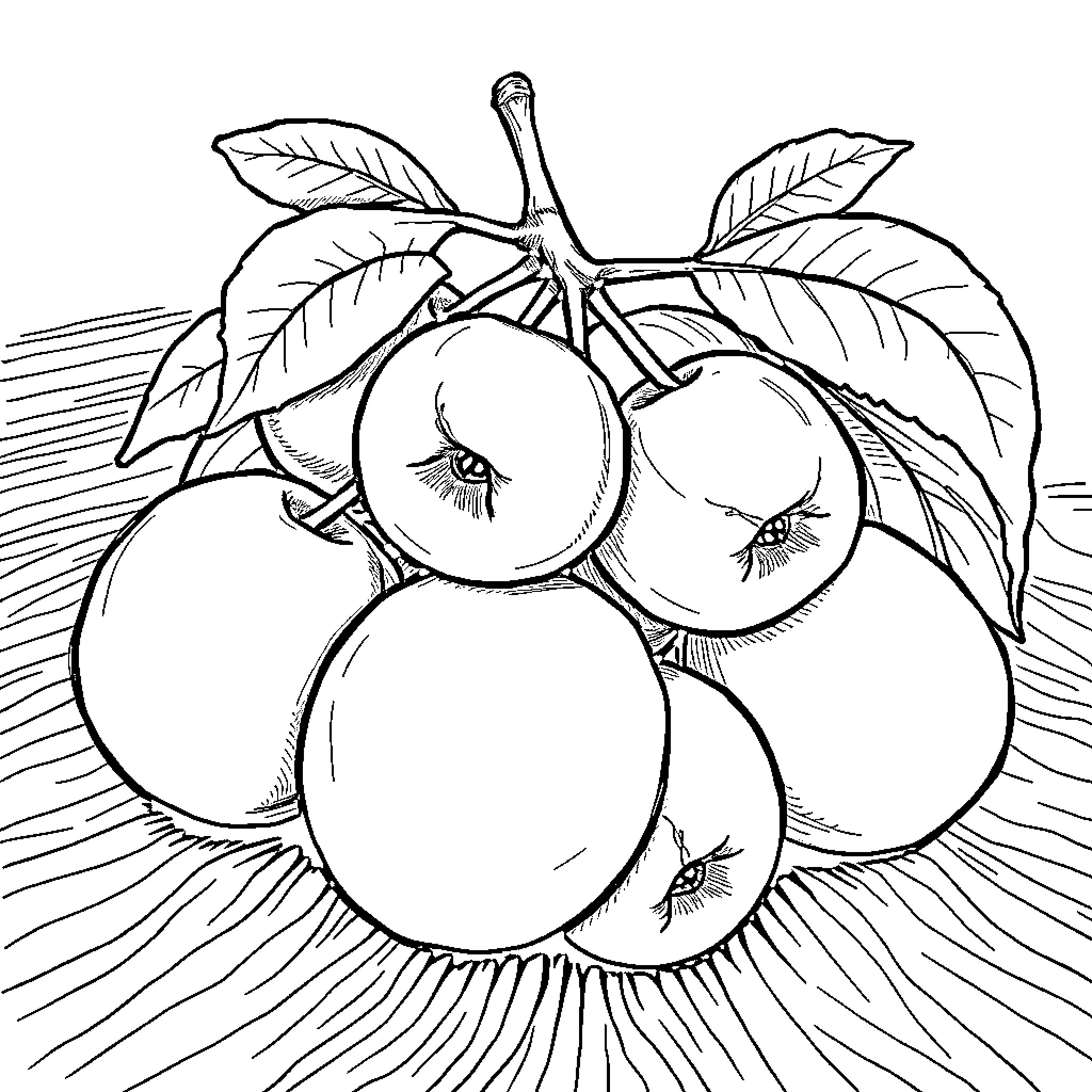 Plum Fruits Clustered on Leafy Branch Coloring Page (free black-and-white line drawing printable PDF for all, from beginners to advanced learners, including children, teens, adults, and seniors)