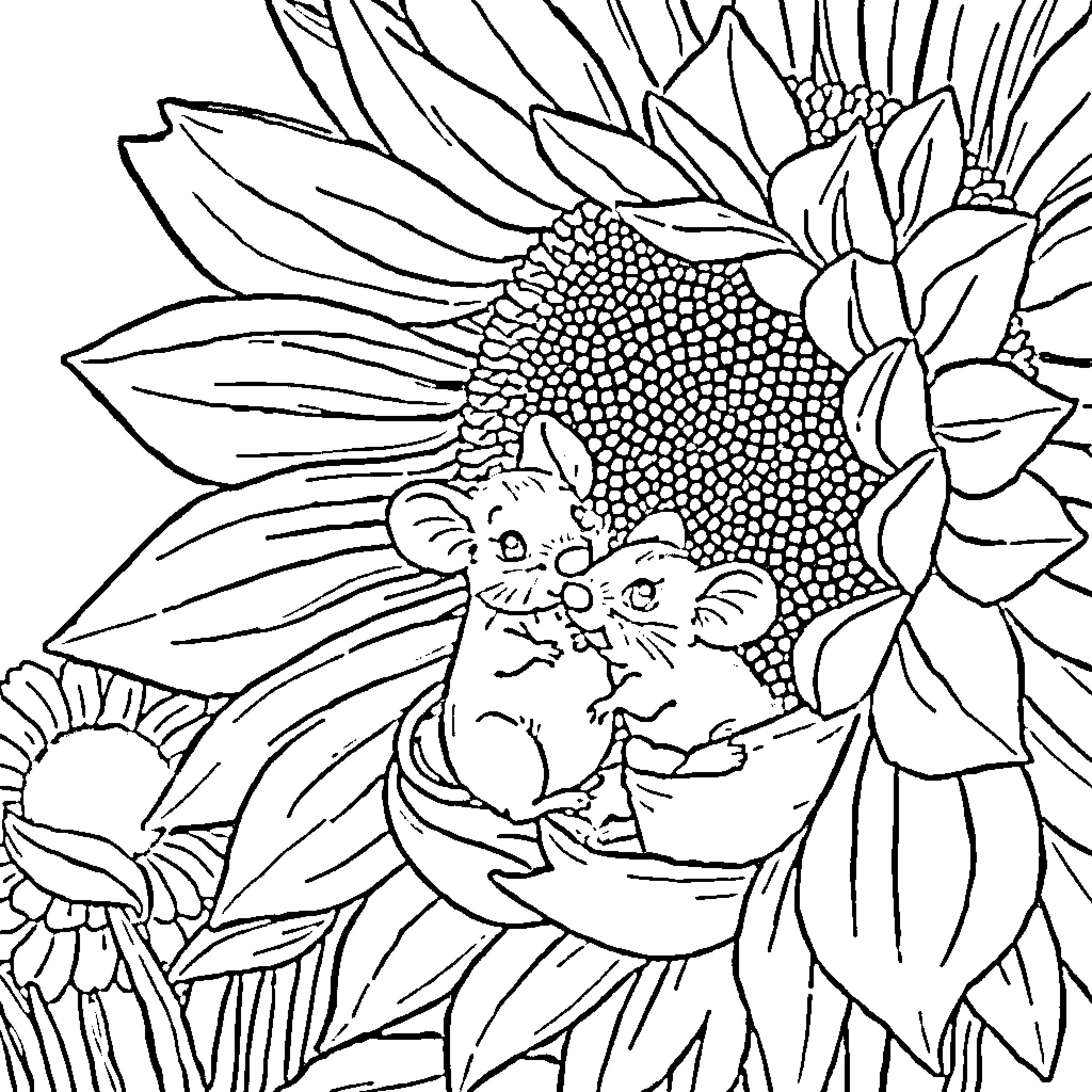 Mouse nestled in sunflower petals Coloring Page (free black-and-white line drawing printable PDF for all, from beginners to advanced learners, including children, teens, adults, and seniors)