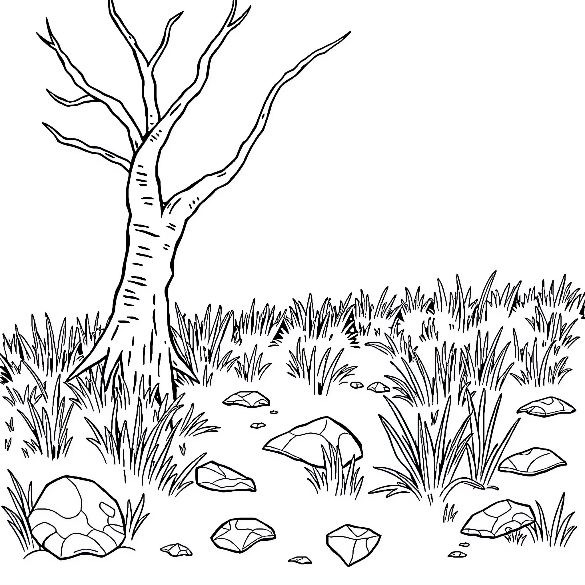 Down in the Woodland Wilderness Coloring Page (free black-and-white line drawing printable PDF for all, from beginners to advanced learners, including children, teens, adults, and seniors)