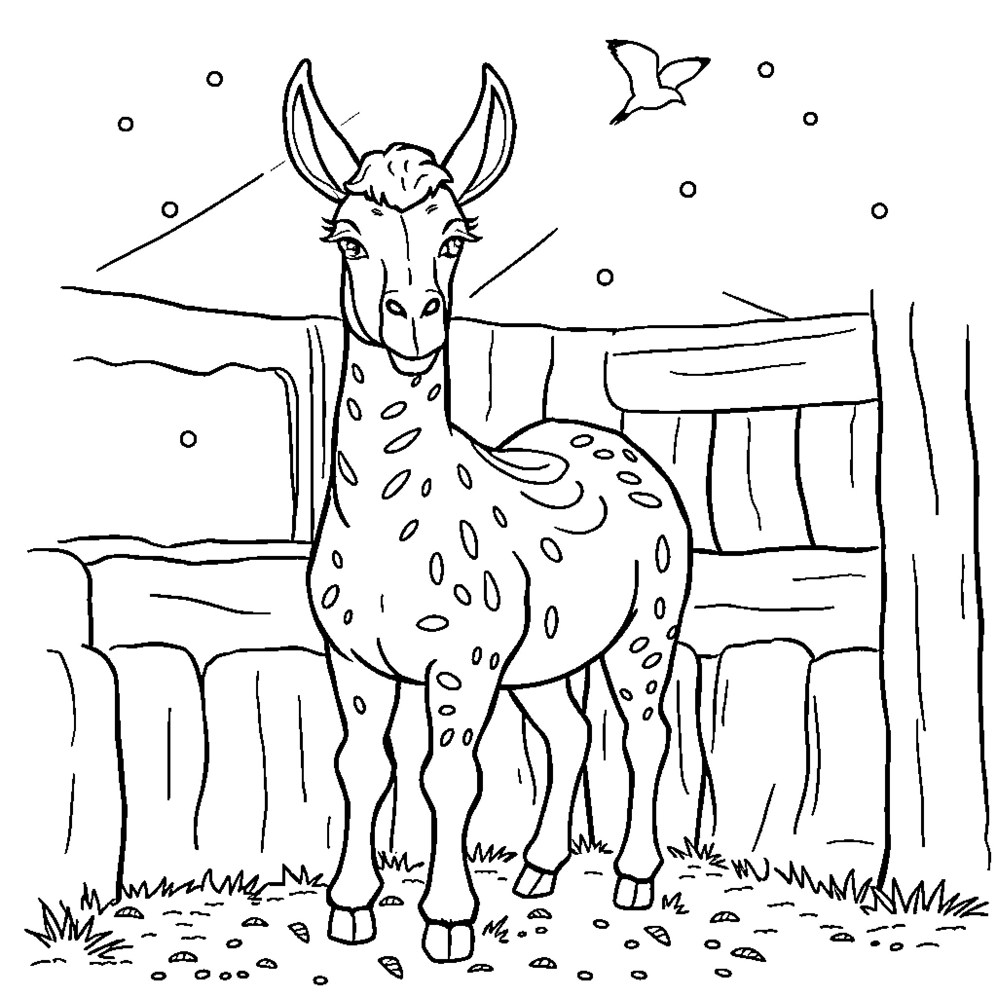 Alpaca standing in a field with a flying bird Coloring Page (free black-and-white line drawing printable PDF for all, from beginners to advanced learners, including children, teens, adults, and seniors)