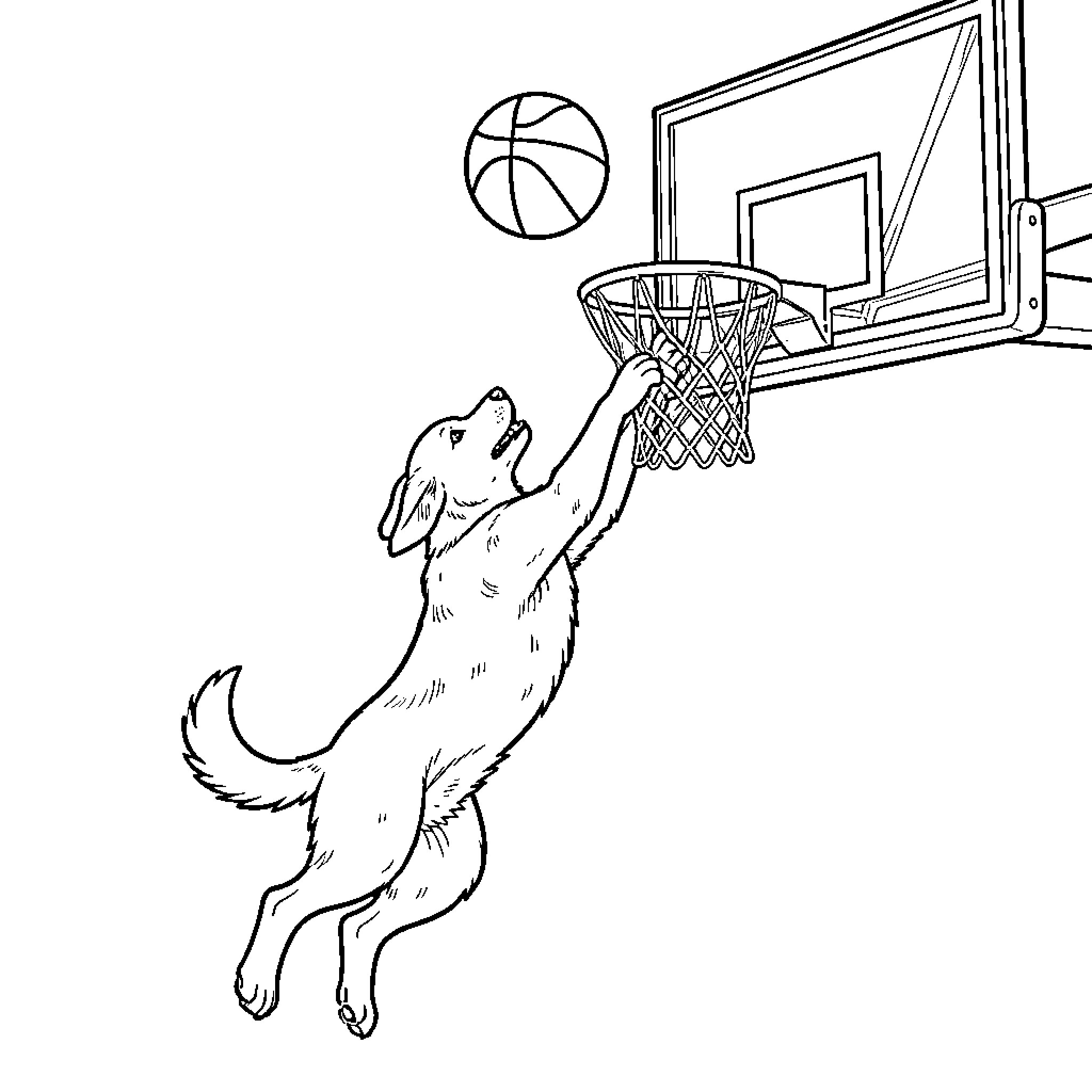 Dog jumping to play basketball near a hoop Coloring Page (free black-and-white line drawing printable PDF for all, from beginners to advanced learners, including children, teens, adults, and seniors)