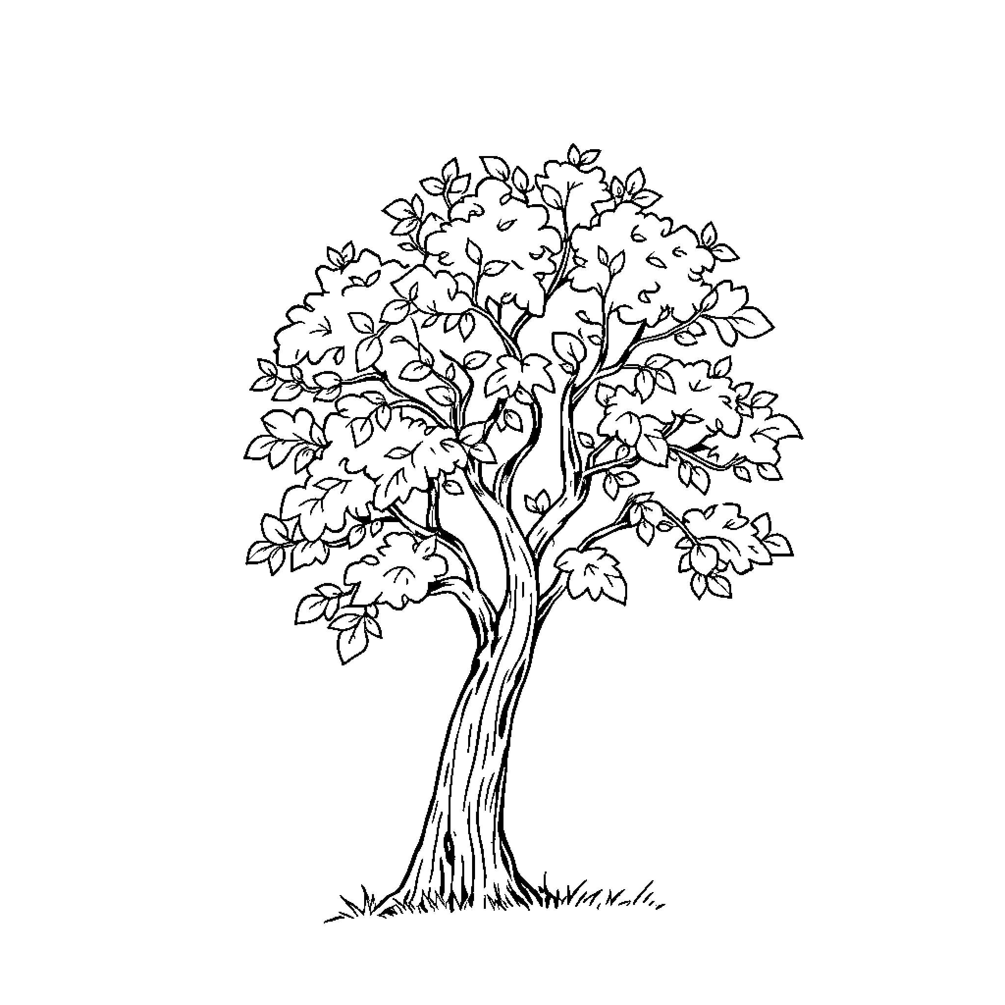 Oak Tree with Lush Foliage Coloring Page (free black-and-white line drawing printable PDF for all, from beginners to advanced learners, including children, teens, adults, and seniors)