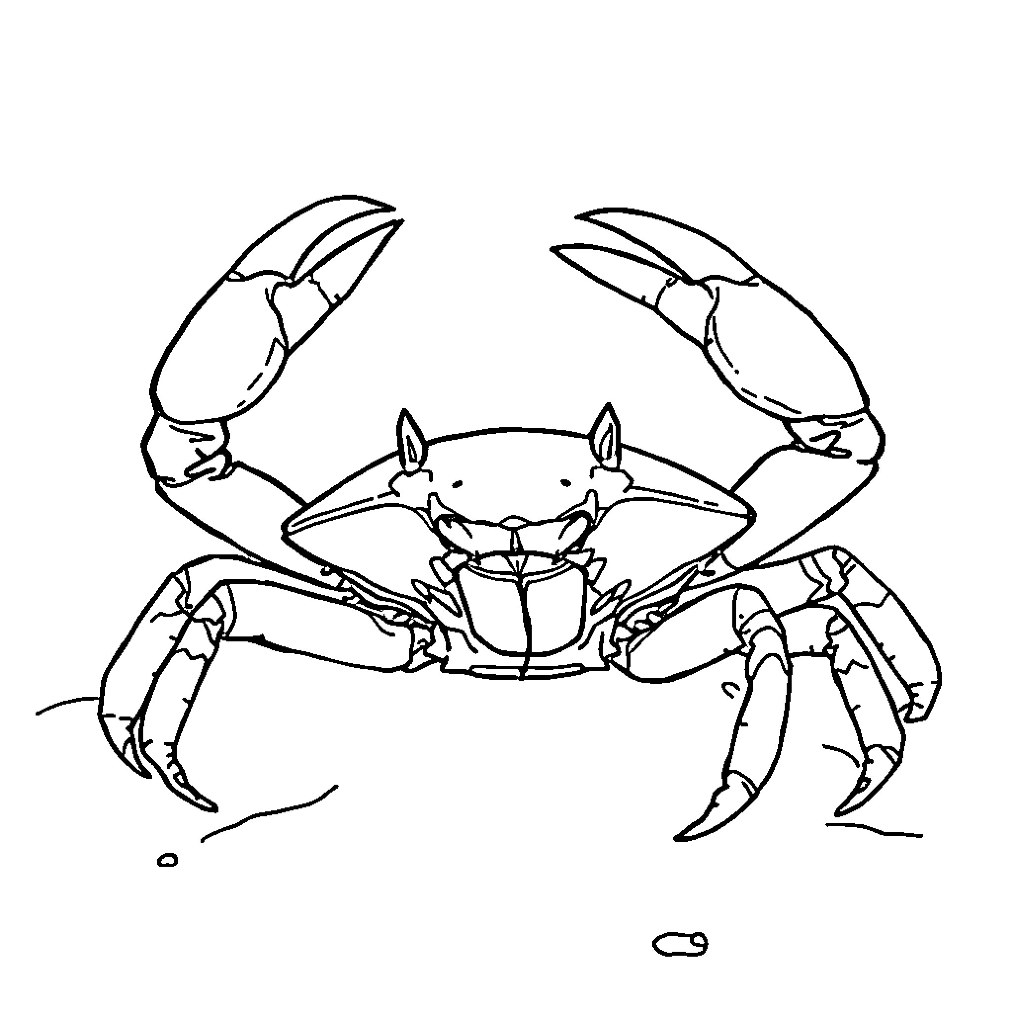 Crab scurrying across the seafloor Coloring Page (free black-and-white line drawing printable PDF for all, from beginners to advanced learners, including children, teens, adults, and seniors)