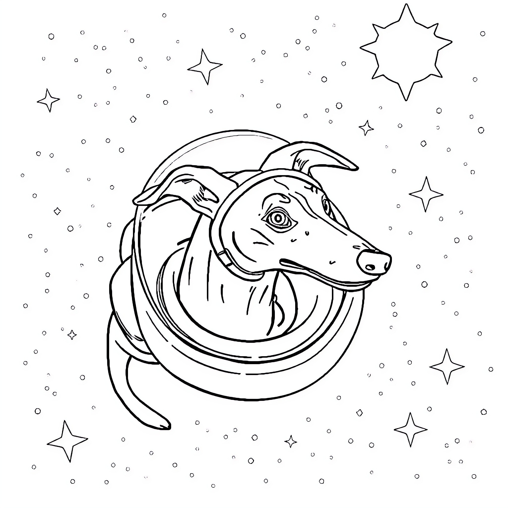 Greyhound racing through a starry night sky Coloring Page (free black-and-white line drawing printable PDF for all, from beginners to advanced learners, including children, teens, adults, and seniors)