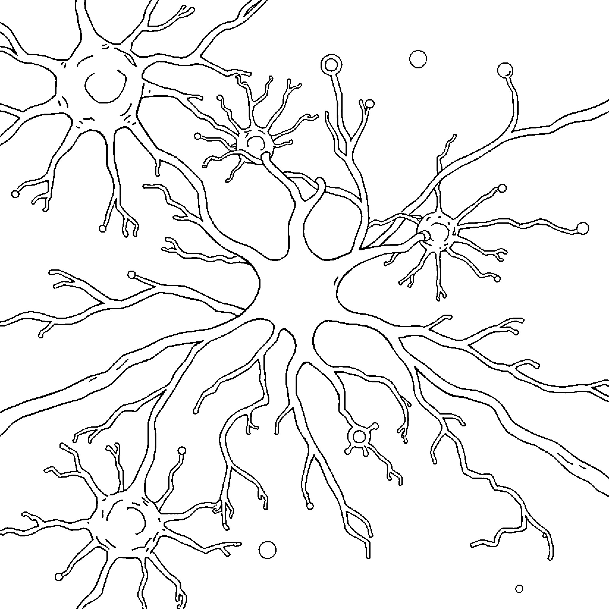 Neuron network illustration Coloring Page (free black-and-white line drawing printable PDF for all, from beginners to advanced learners, including children, teens, adults, and seniors)