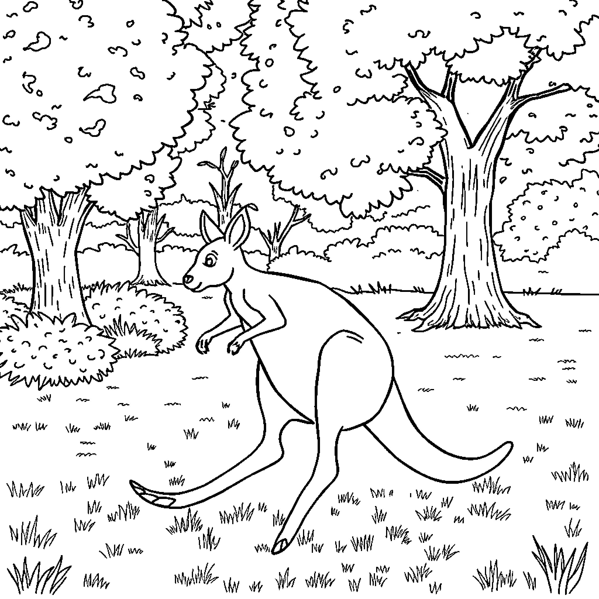 Kangaroo hopping through a forest Coloring Page (free black-and-white line drawing printable PDF for all, from beginners to advanced learners, including children, teens, adults, and seniors)